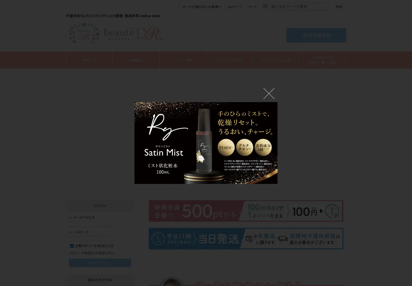 Captured homepage of ryokoskin-shop.com in the current scan