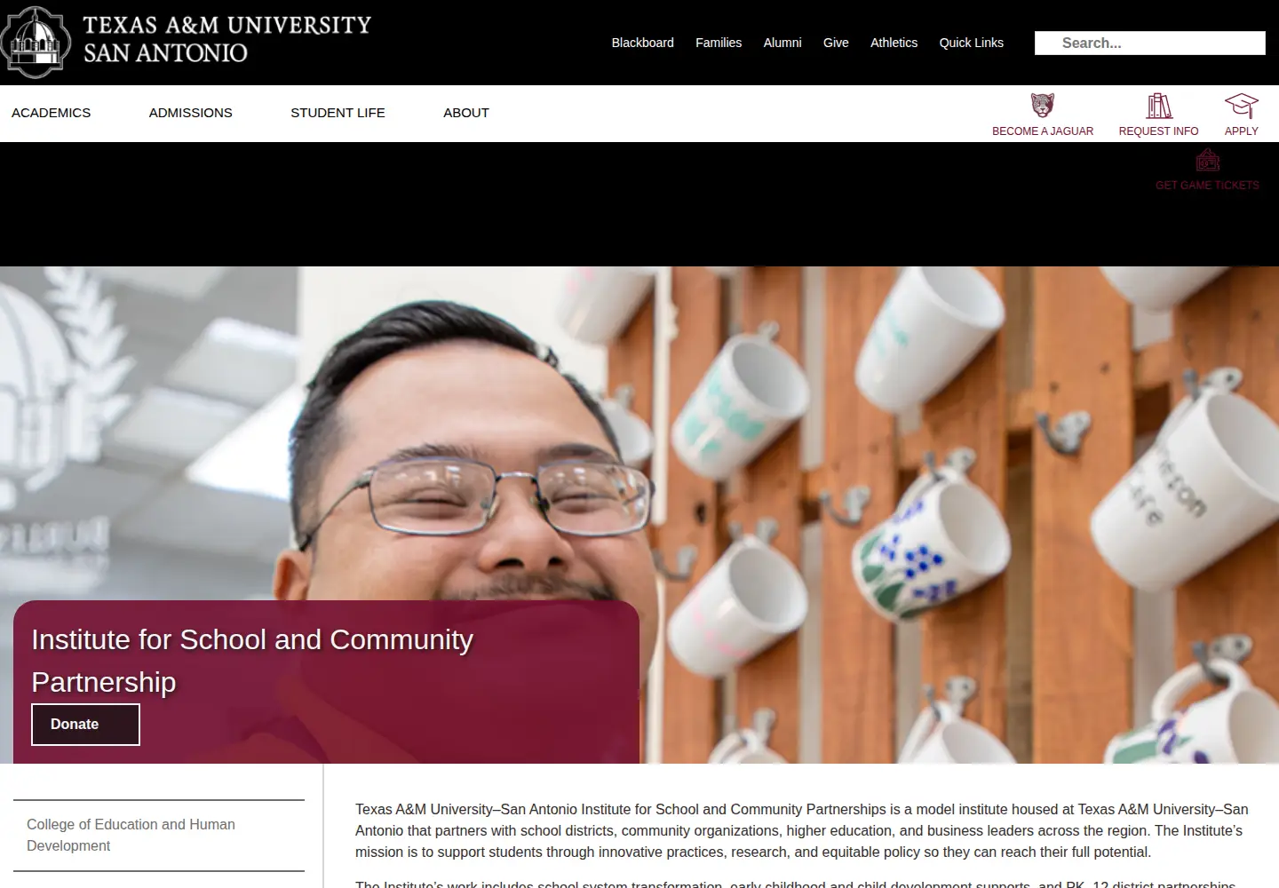 Screenshot of theinstitutesa.org