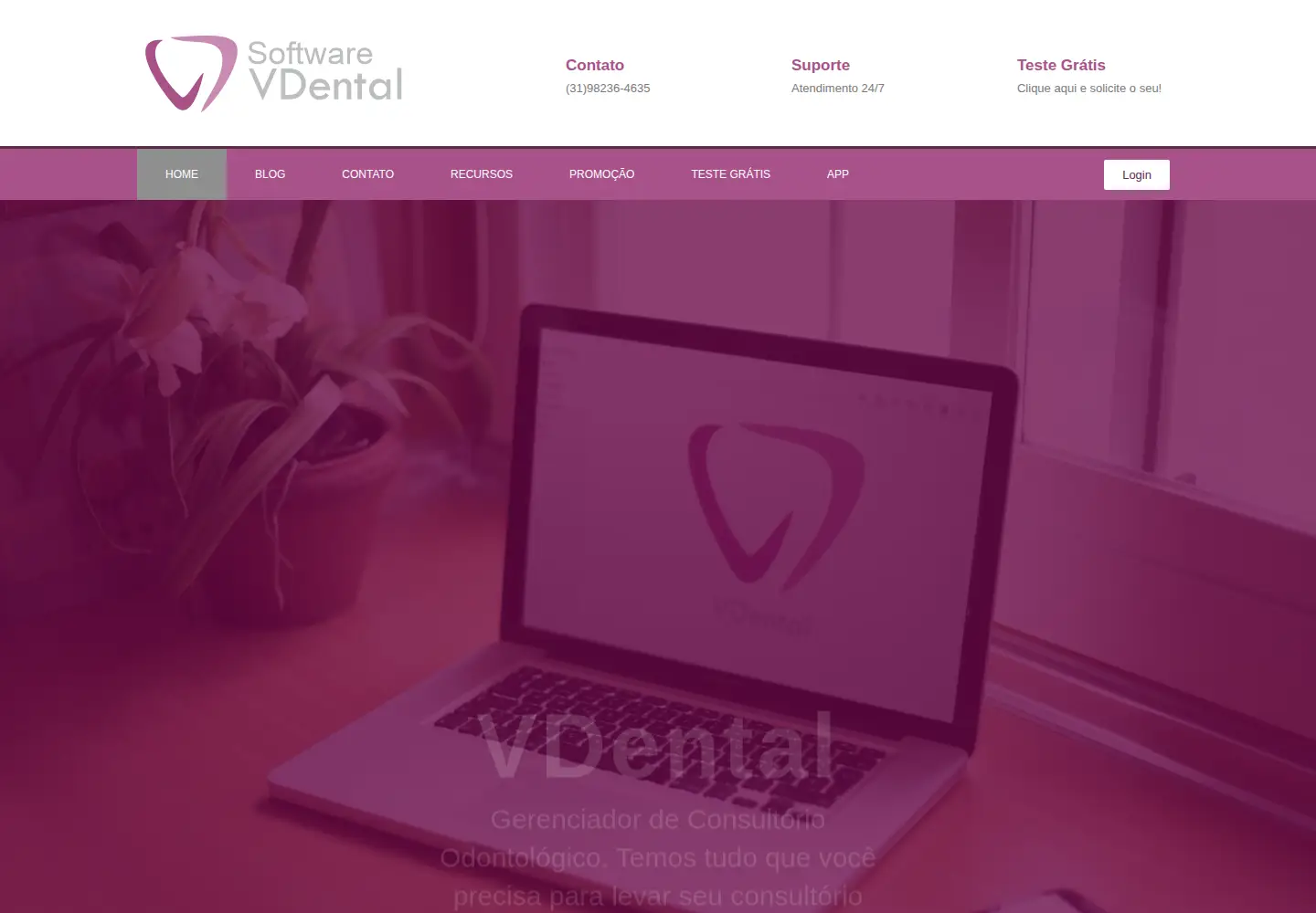 Captured homepage of vdental.com.br in the current scan