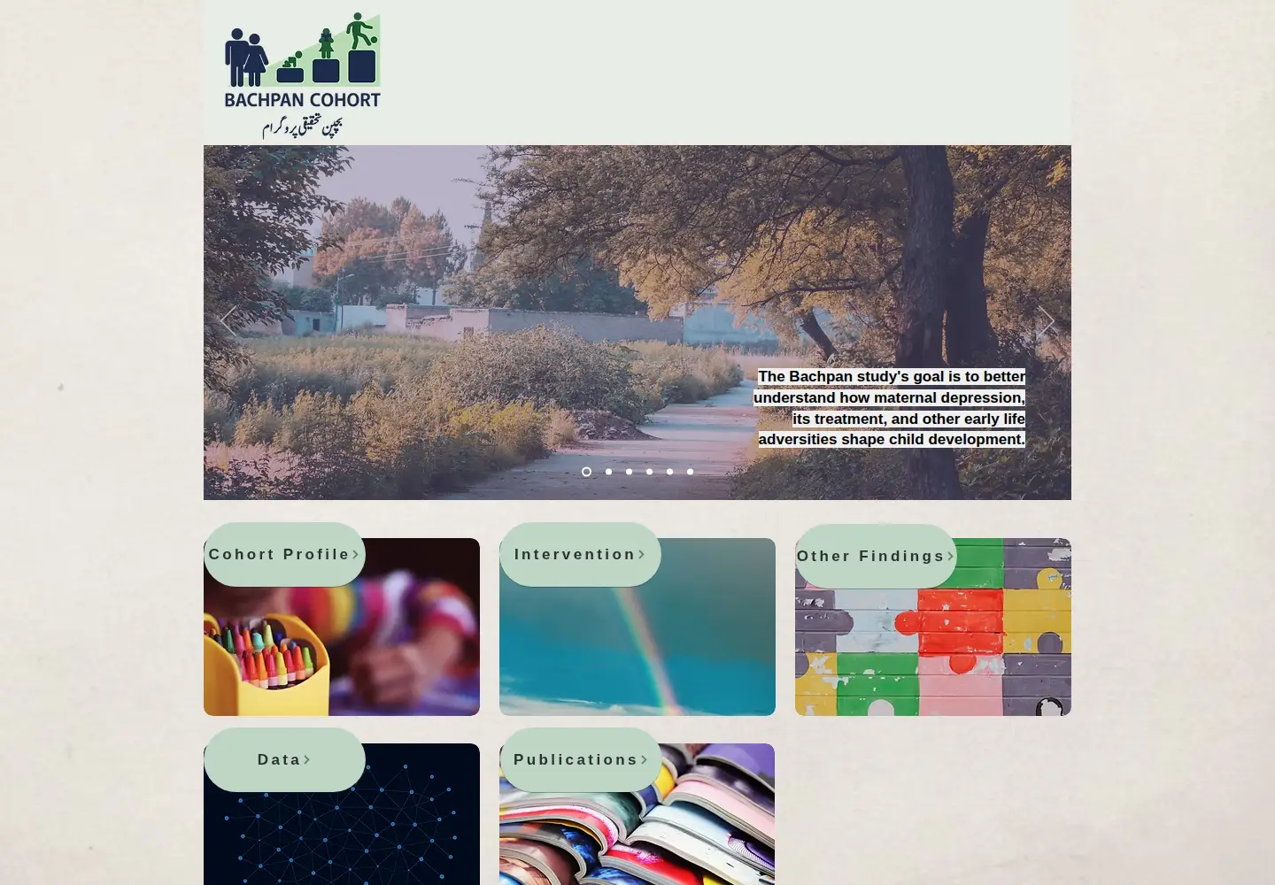 Captured homepage of bachpanstudy.com in the current scan