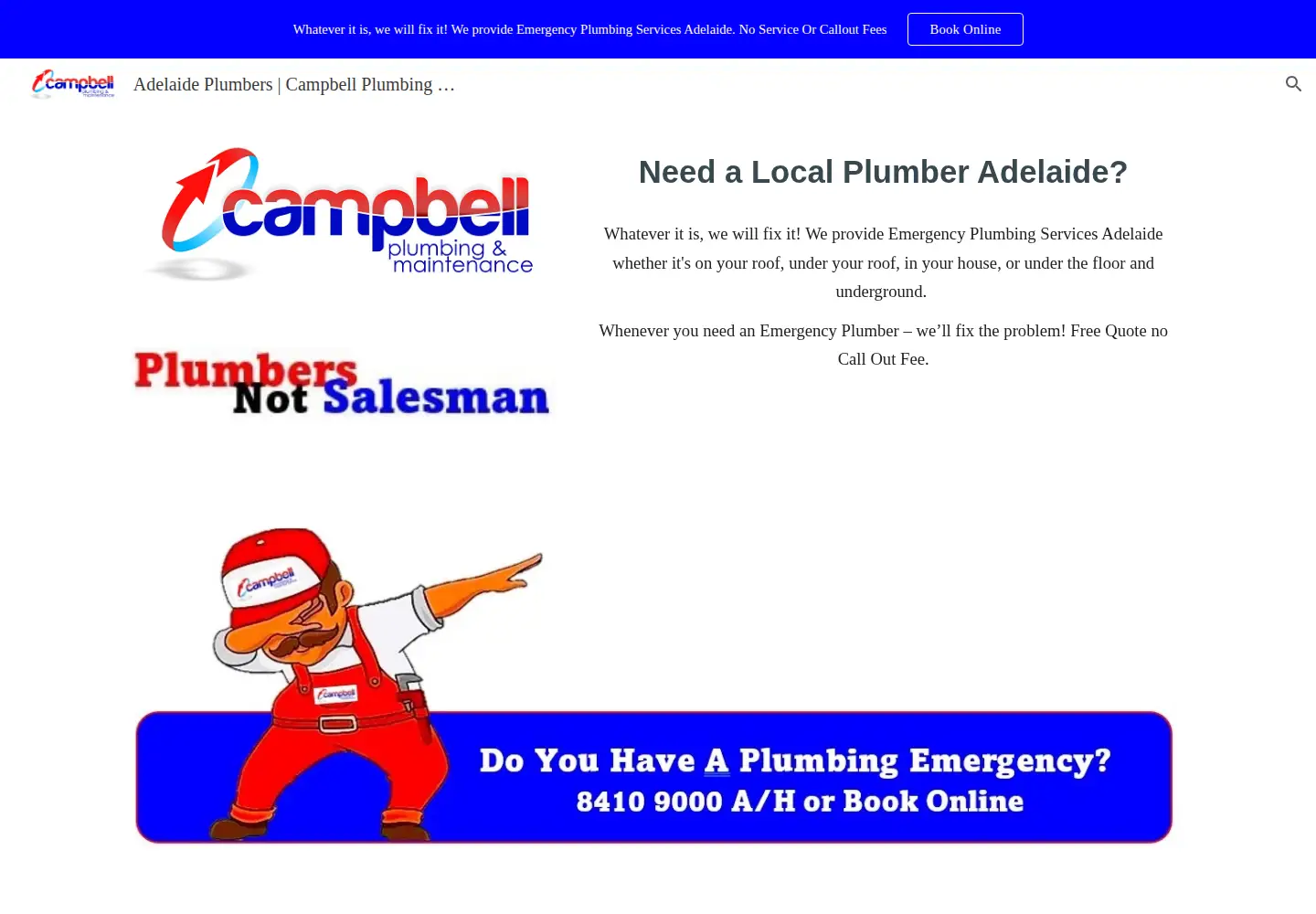 Captured homepage of campbellplumbingmaintenance.com in the current scan