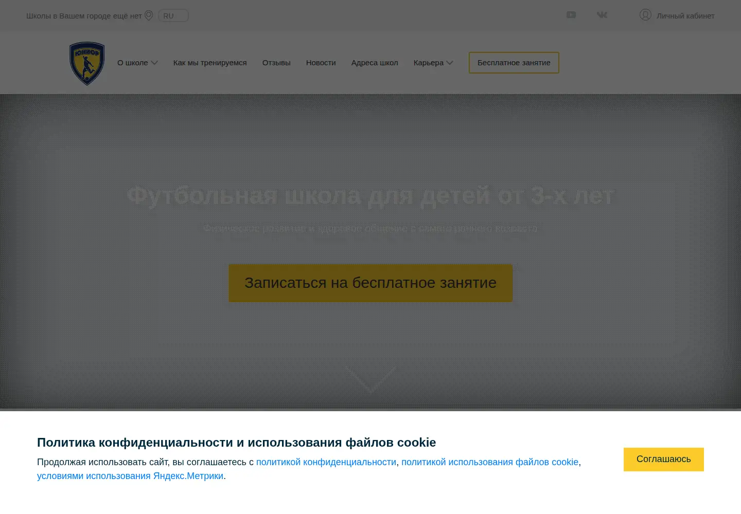 Screenshot of fsjunior.com