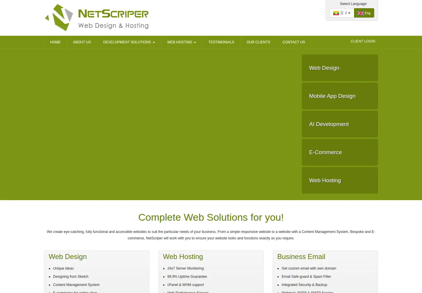 Captured homepage of netscriper.com in the current scan