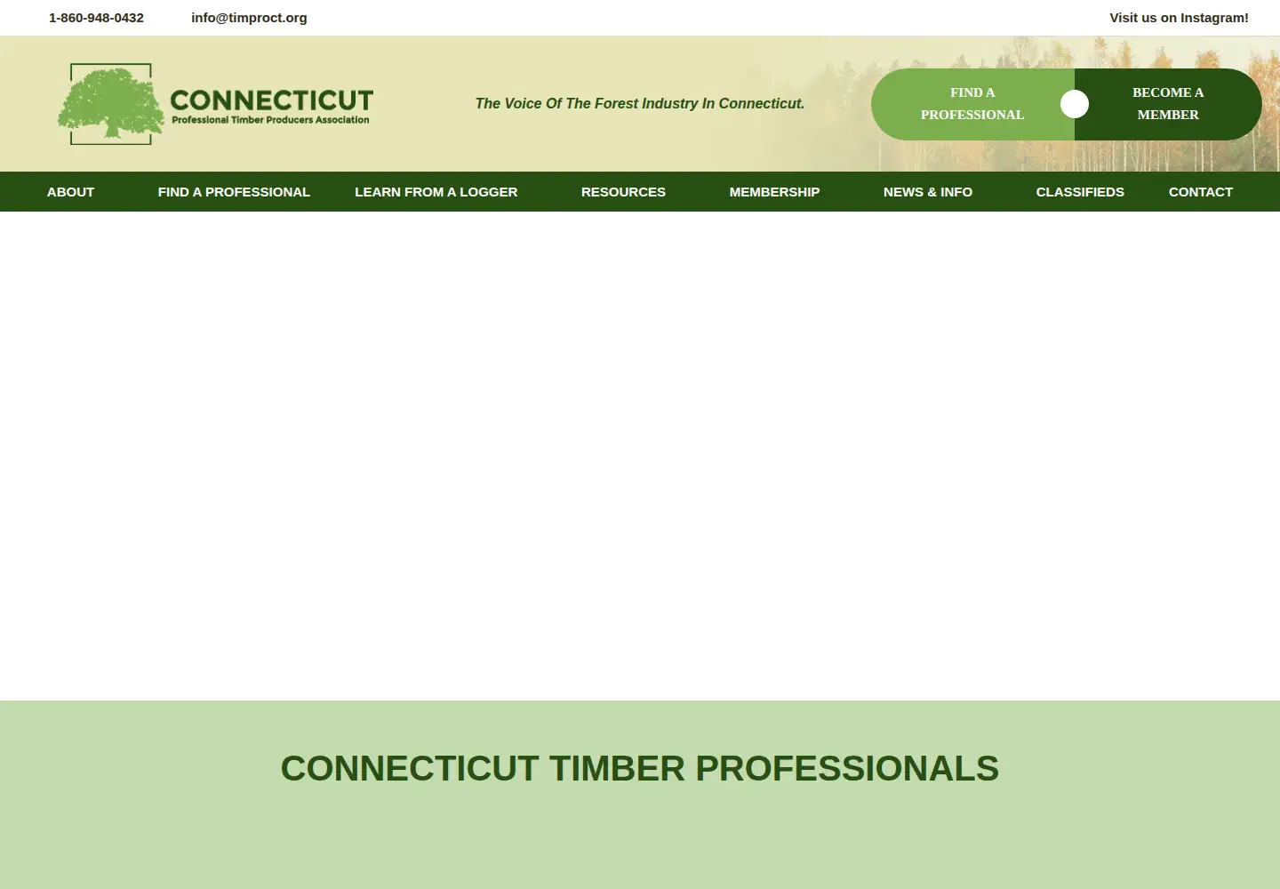 Captured homepage of timproct.org in the current scan