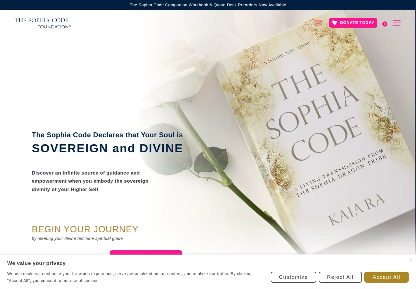 Captured homepage of thesophiacodefoundation.org in the current scan