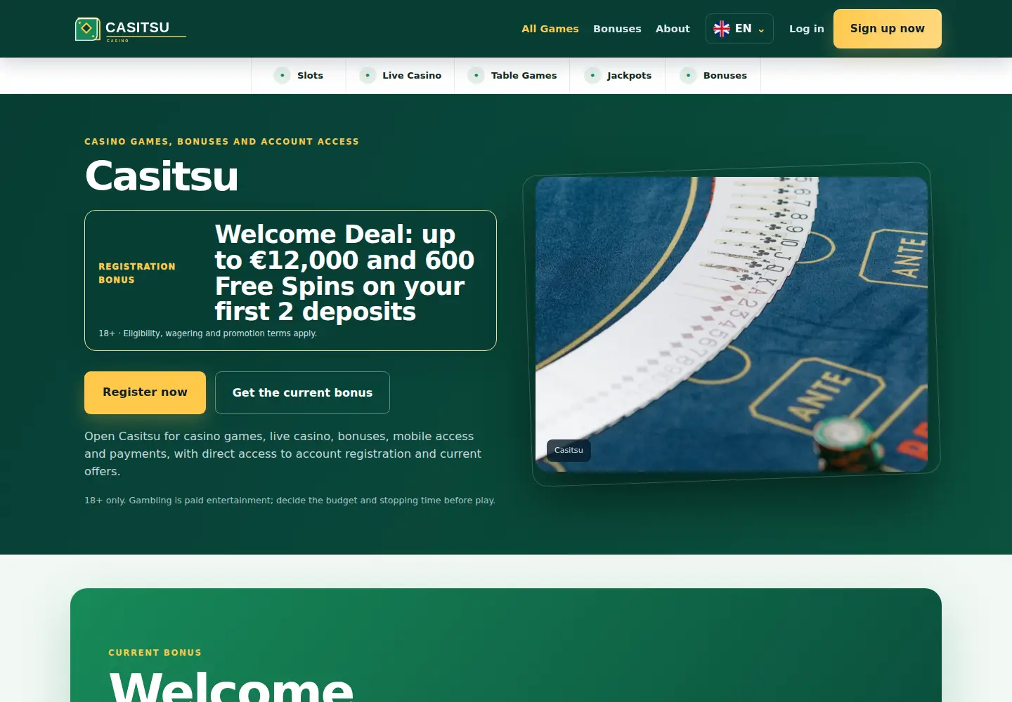 Screenshot of casitsu.eu