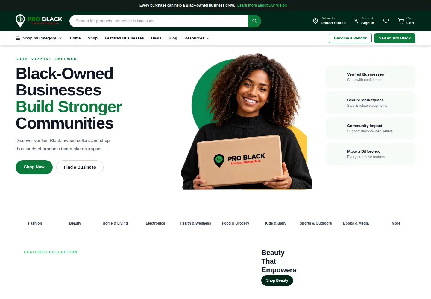 Captured homepage of problack.co in the current scan