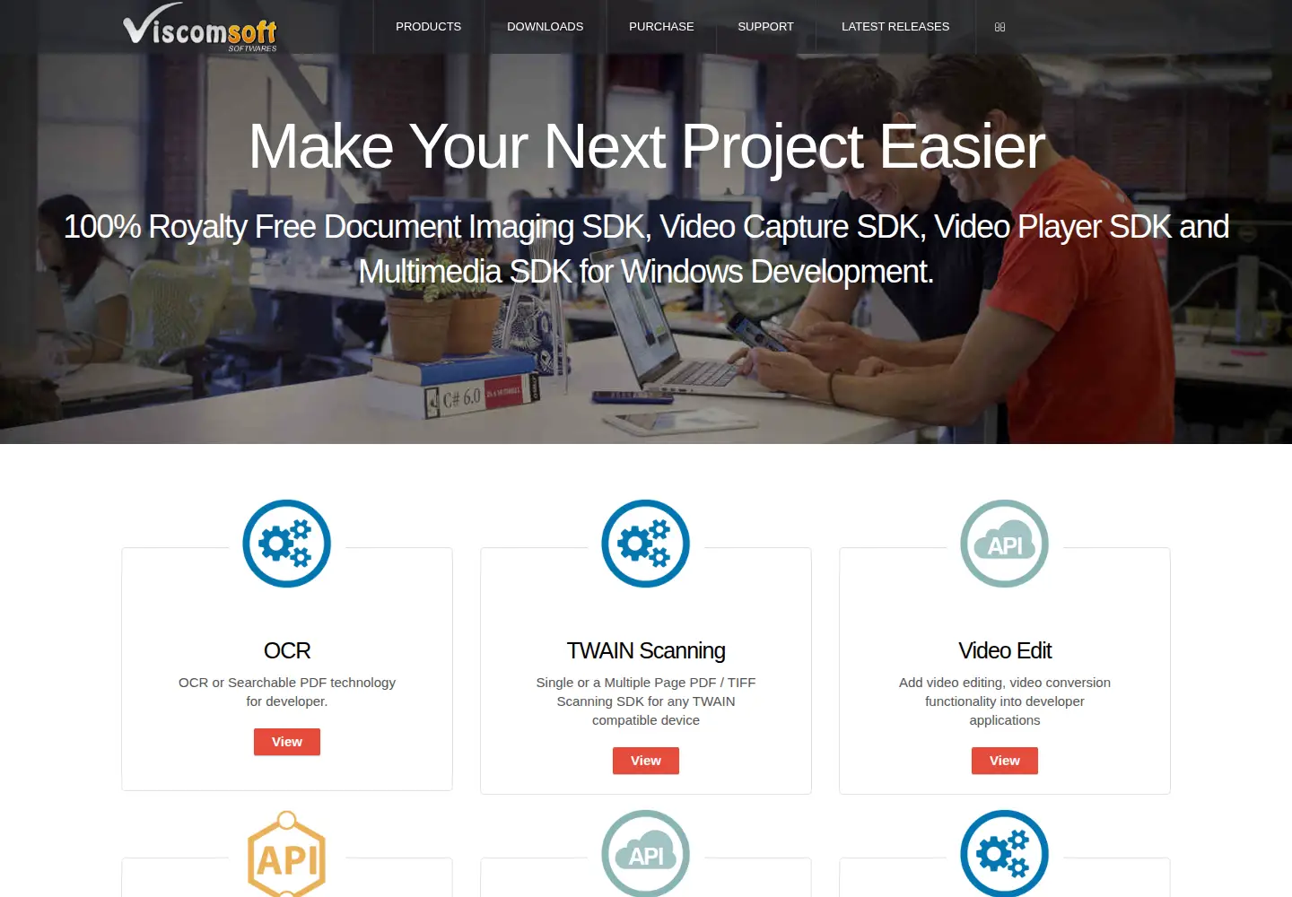 Captured homepage of viscomsoft.com in the current scan