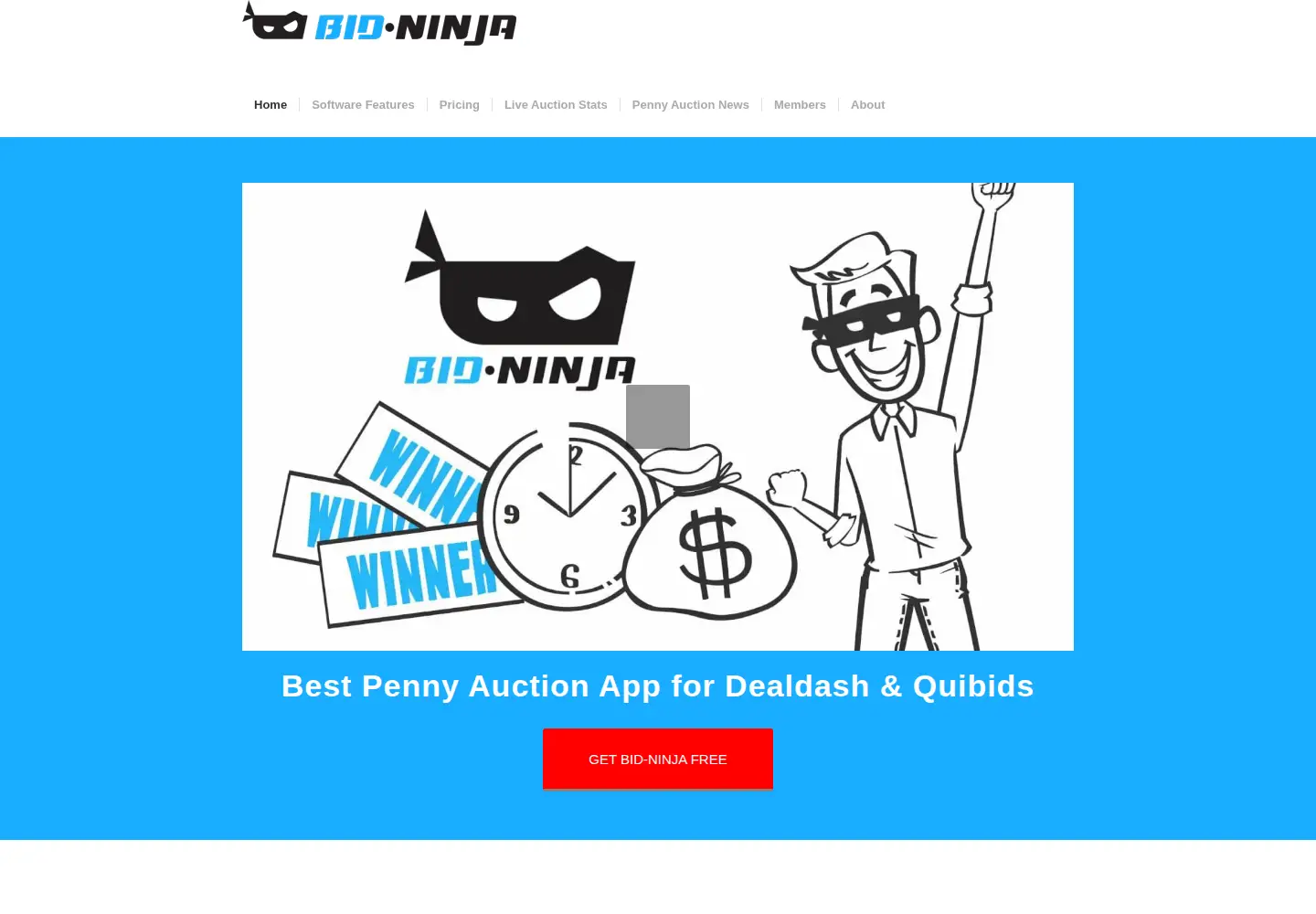 Captured homepage of bid-ninja.com in the current scan