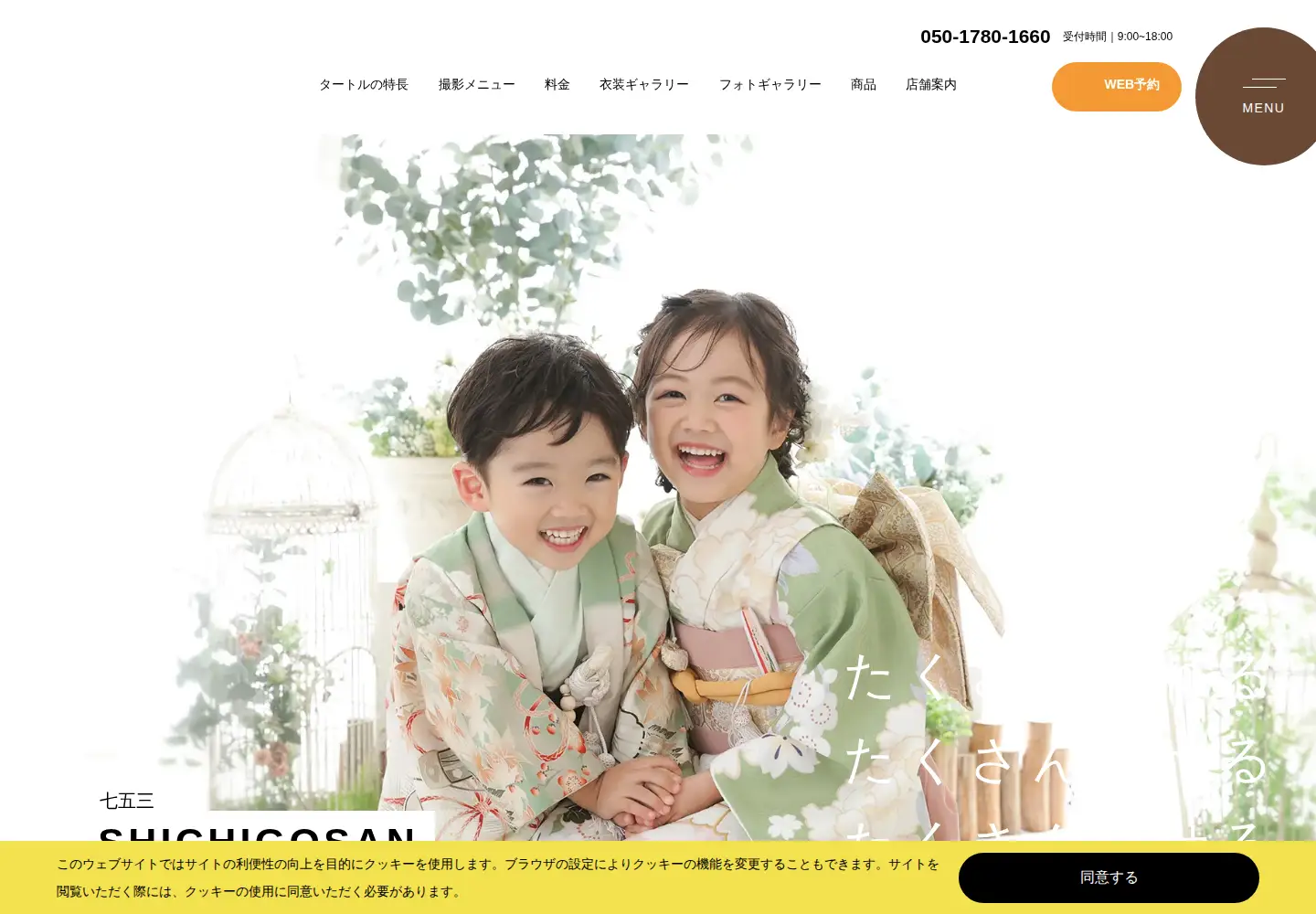 Captured homepage of ps-turtle.com in the current scan