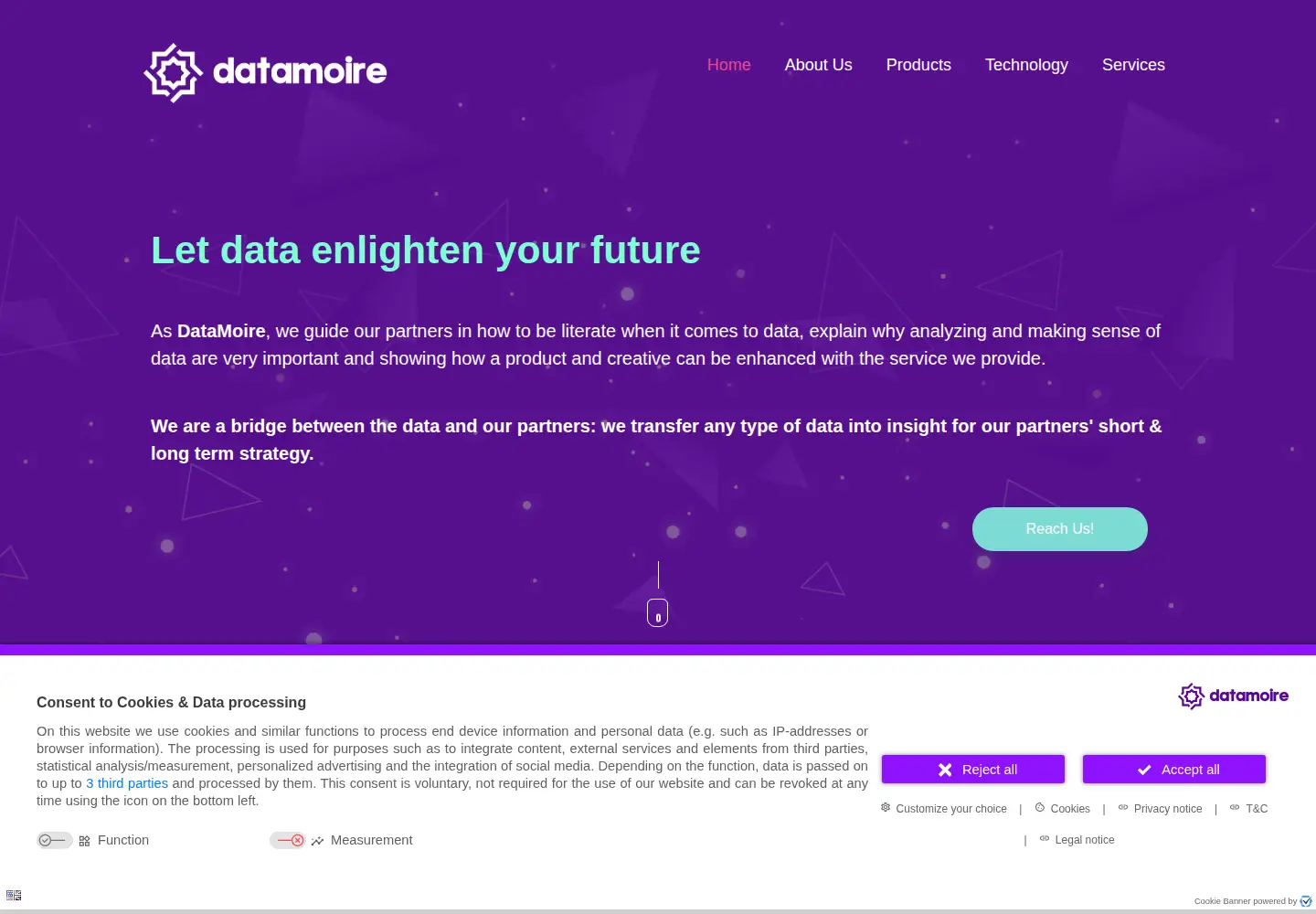 Screenshot of datamoire.com