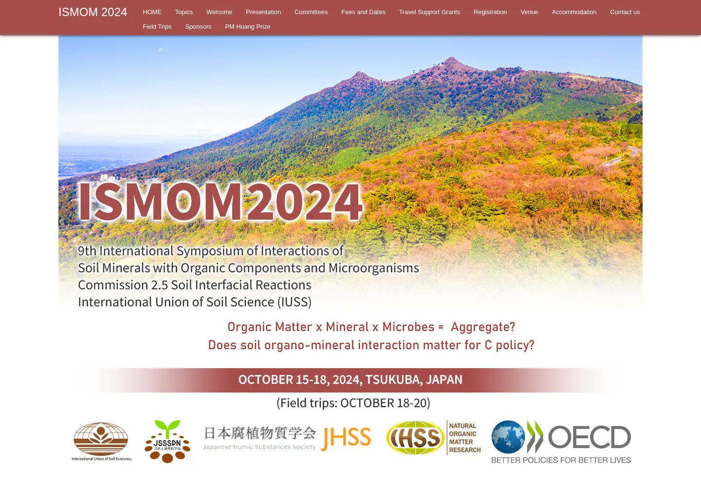 Screenshot of ismom2024.org