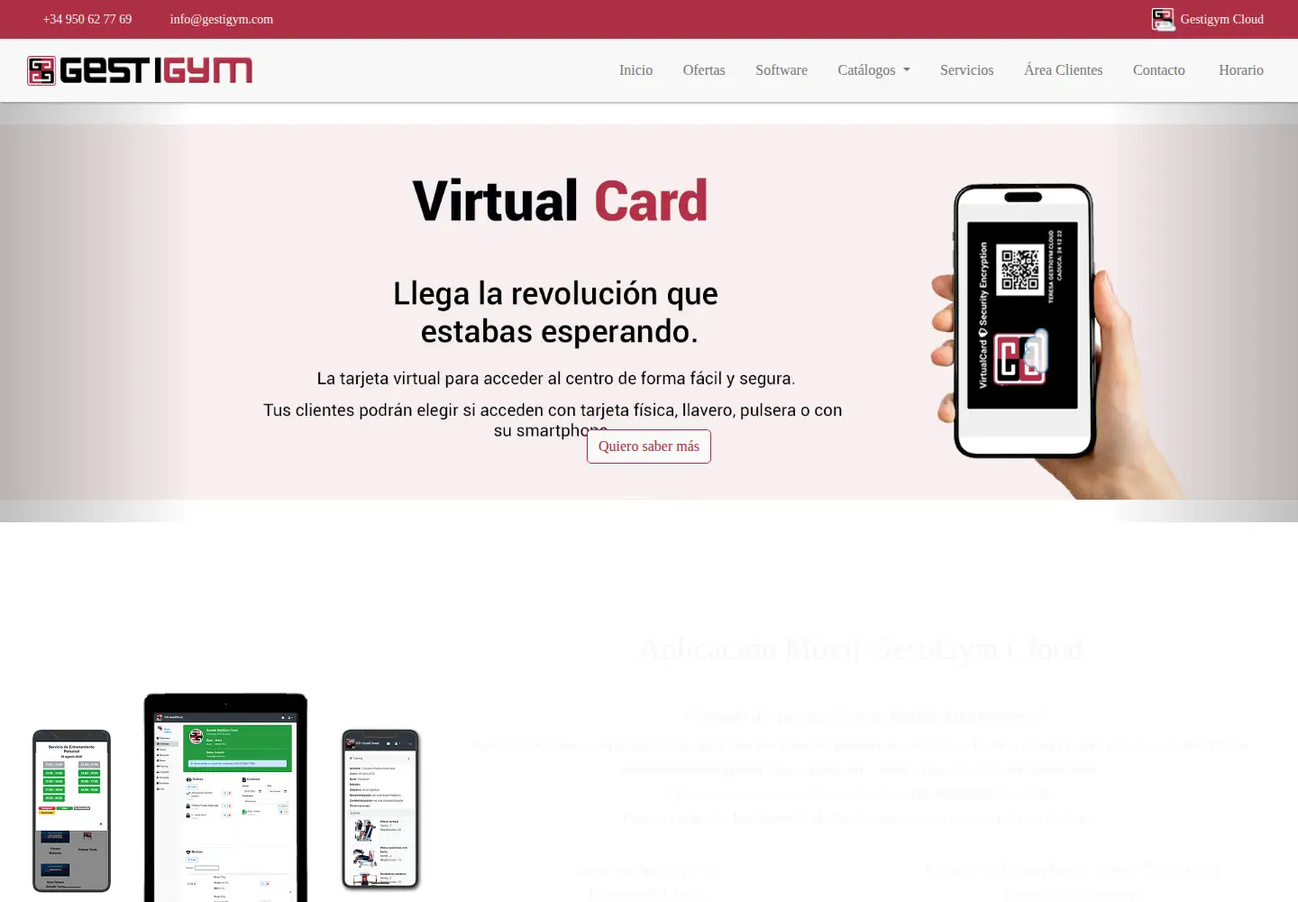 Screenshot of gestigym.com