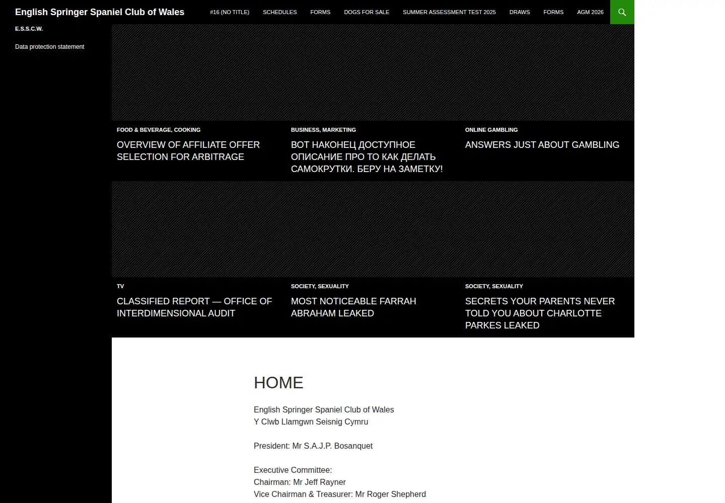 Screenshot of englishspringerspanielclubofwales.com
