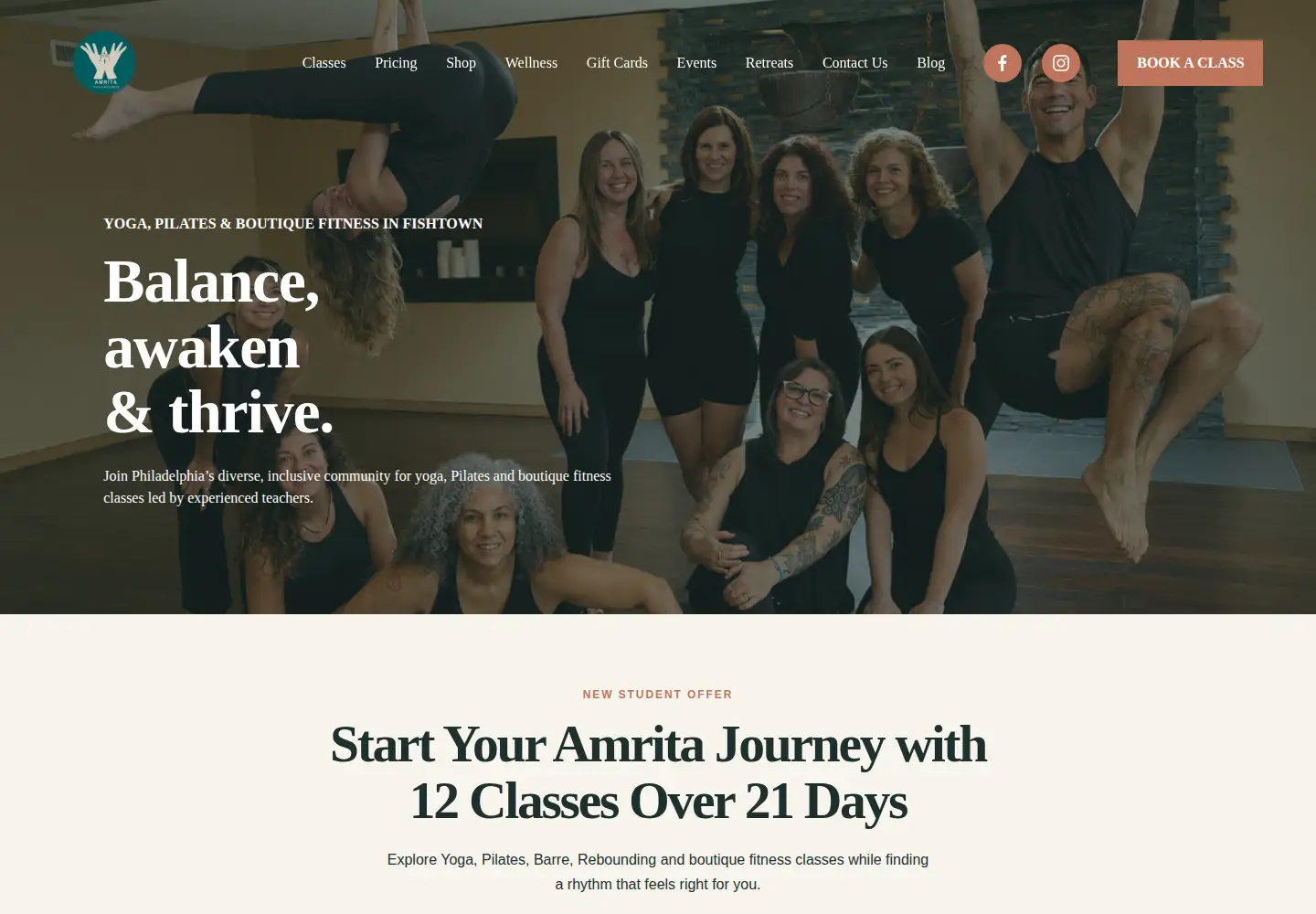 Captured homepage of amritayogawellness.com in the current scan