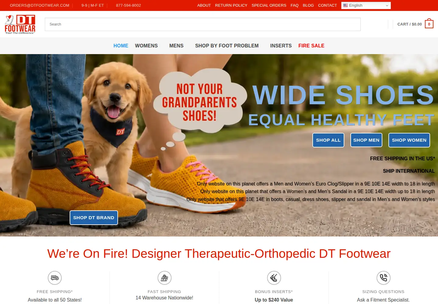 Captured homepage of dtfootwear.com in the current scan