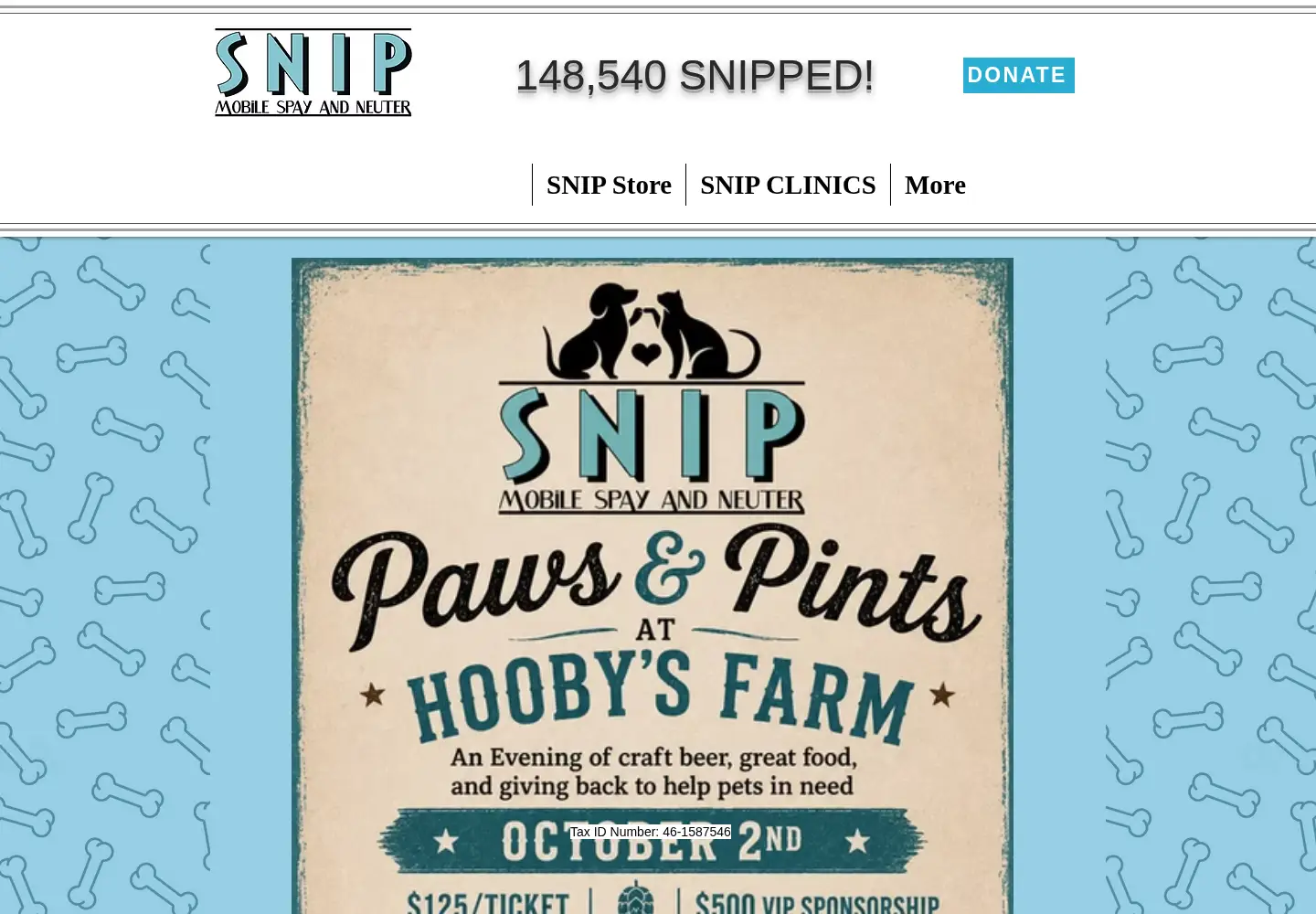 Captured homepage of snipbus.org in the current scan