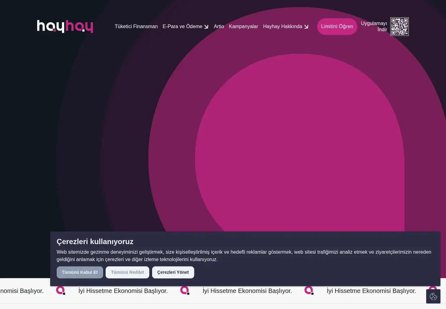 Captured homepage of hayhay.com in the current scan