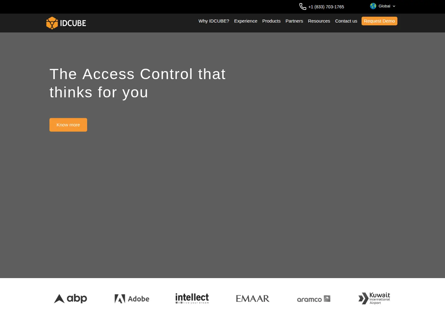 Screenshot of idcubesystems.com