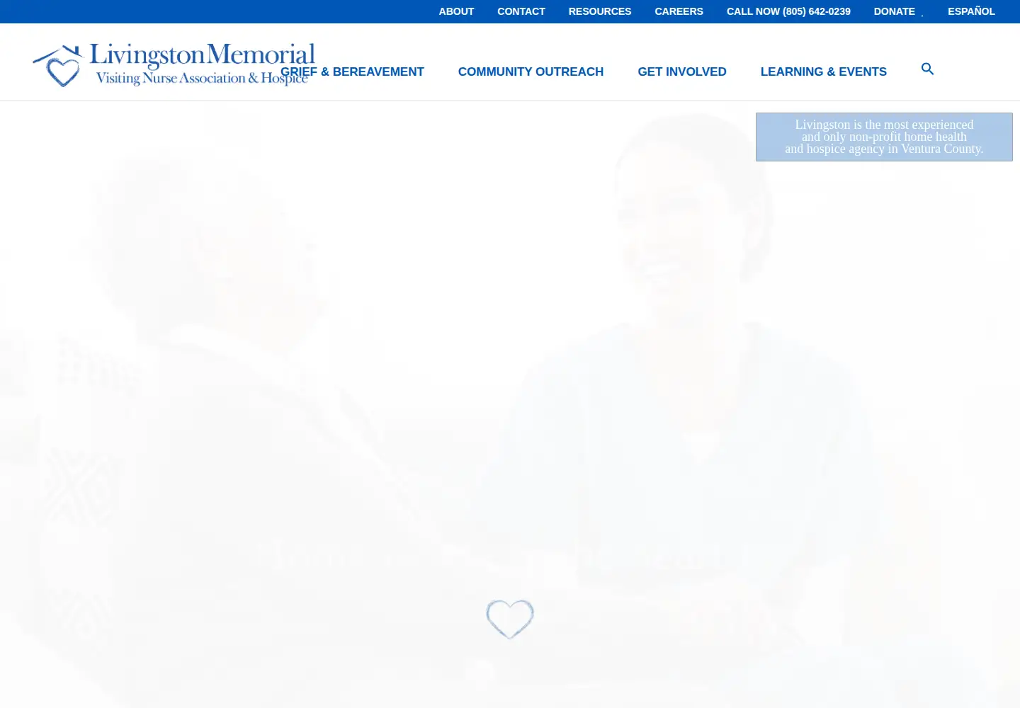 Screenshot of lmvna.org