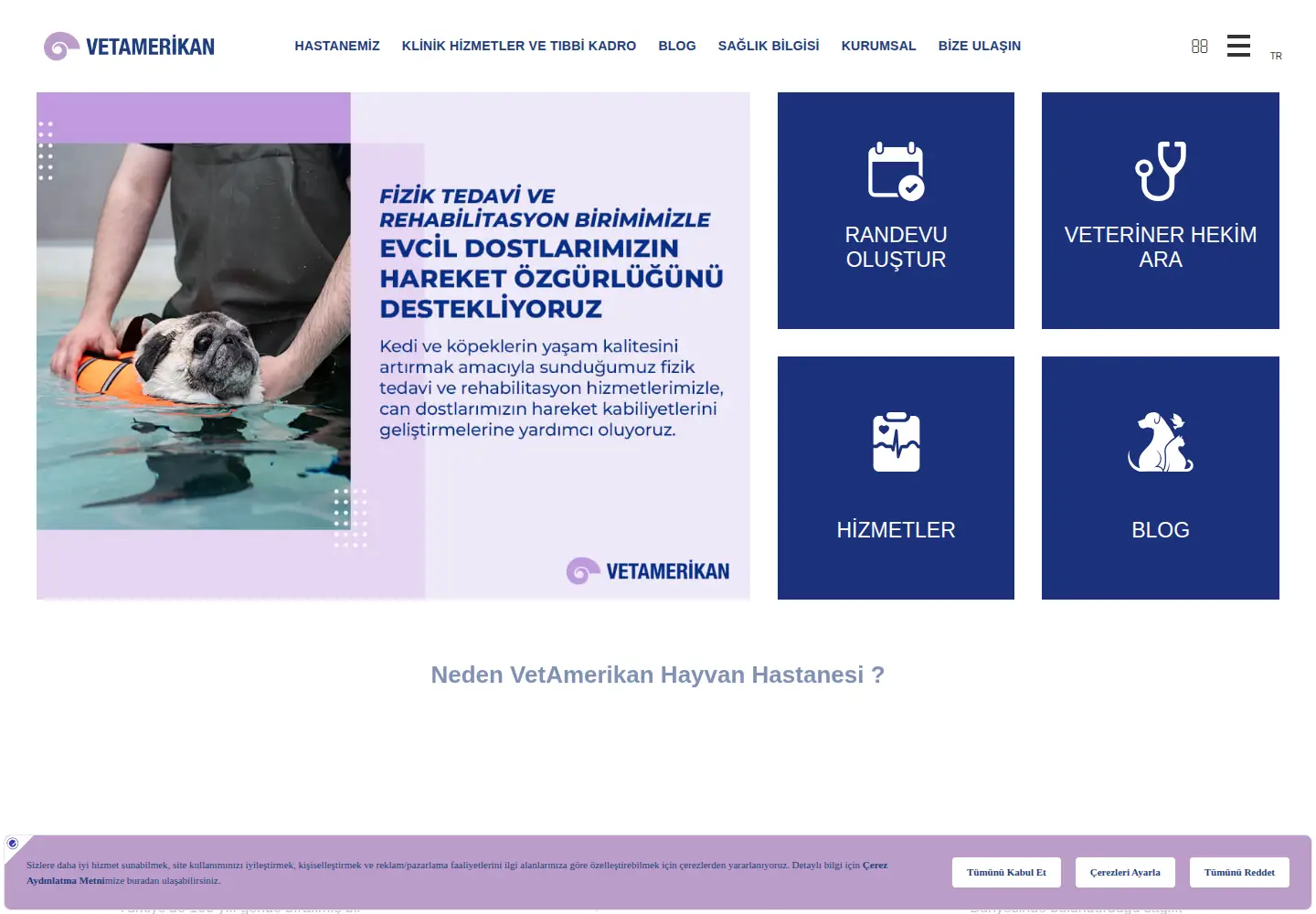 Screenshot of vetamerikan.org