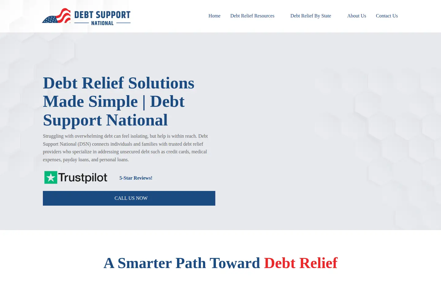 Captured homepage of debtsupportnational.com in the current scan