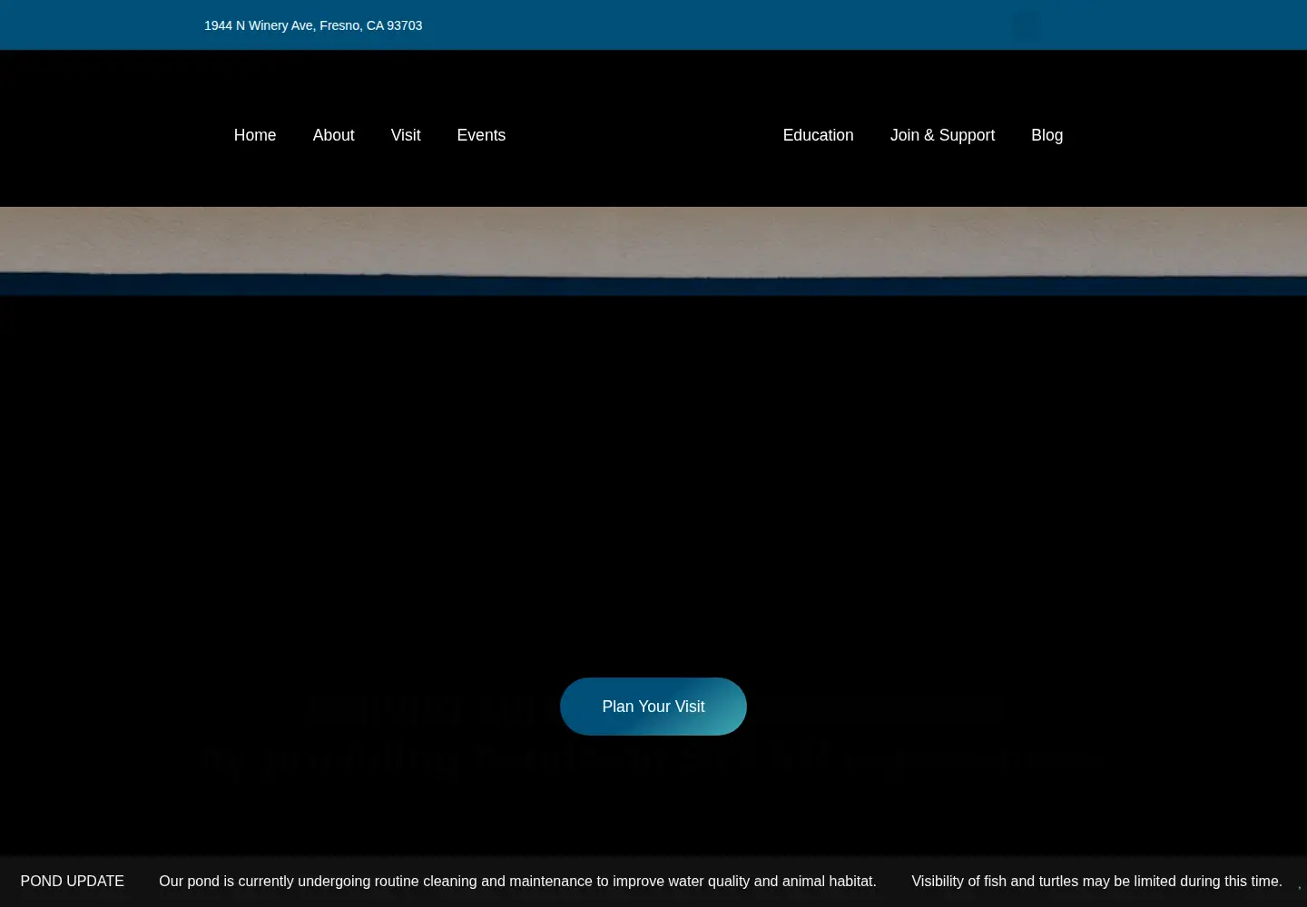 Screenshot of fresnodiscoverycenter.org