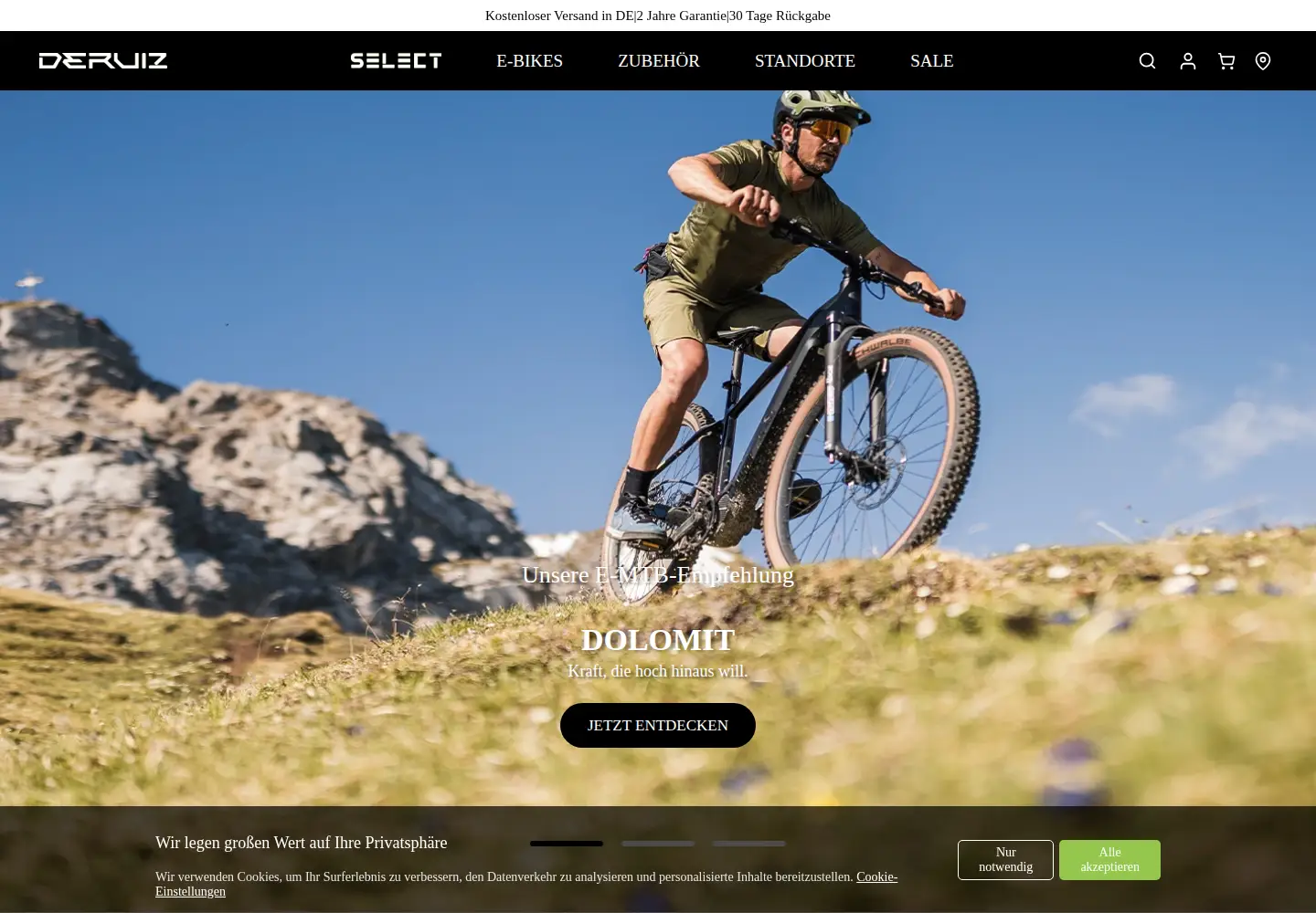 Screenshot of deruizebike.com