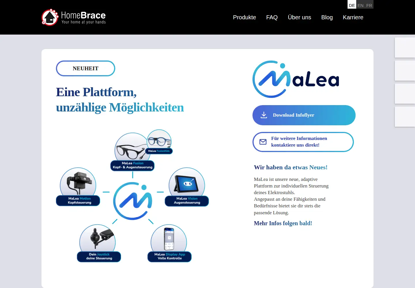 Screenshot of homebrace.com