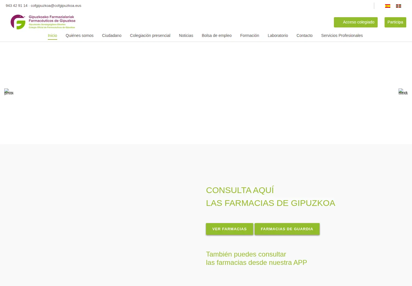 Screenshot of cofgipuzkoa.eus