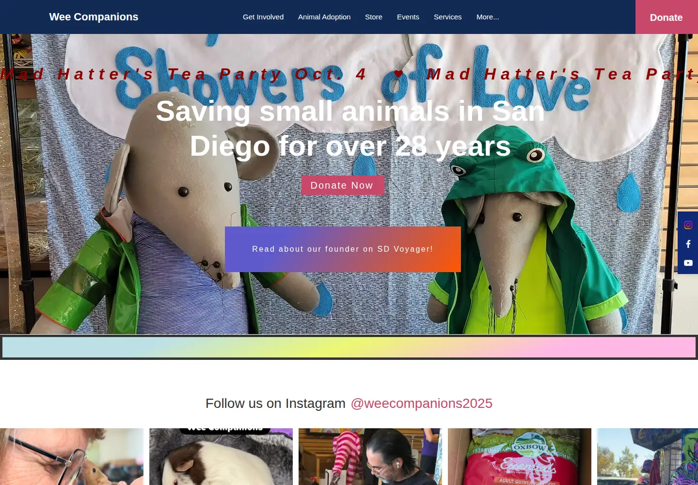 Captured homepage of weecompanions.org in the current scan