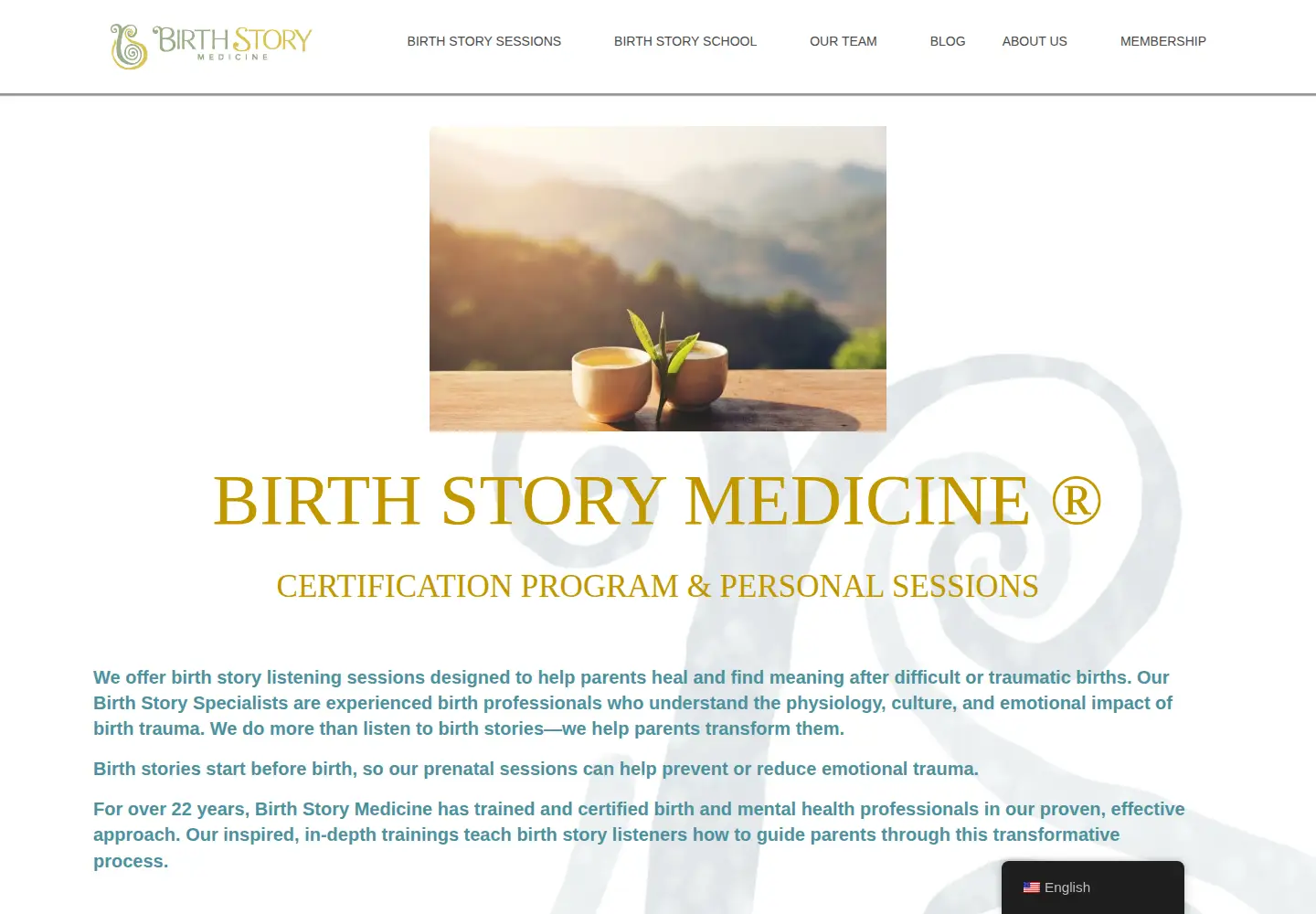 Captured homepage of birthstorymedicine.com in the current scan