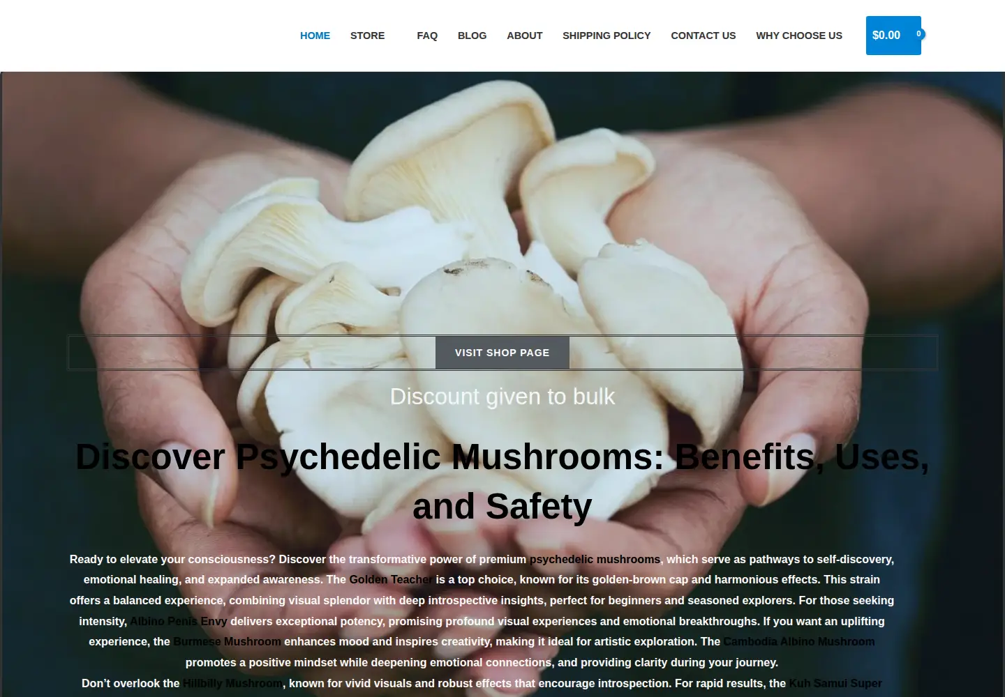 Captured homepage of psychedelickingss.com in the current scan
