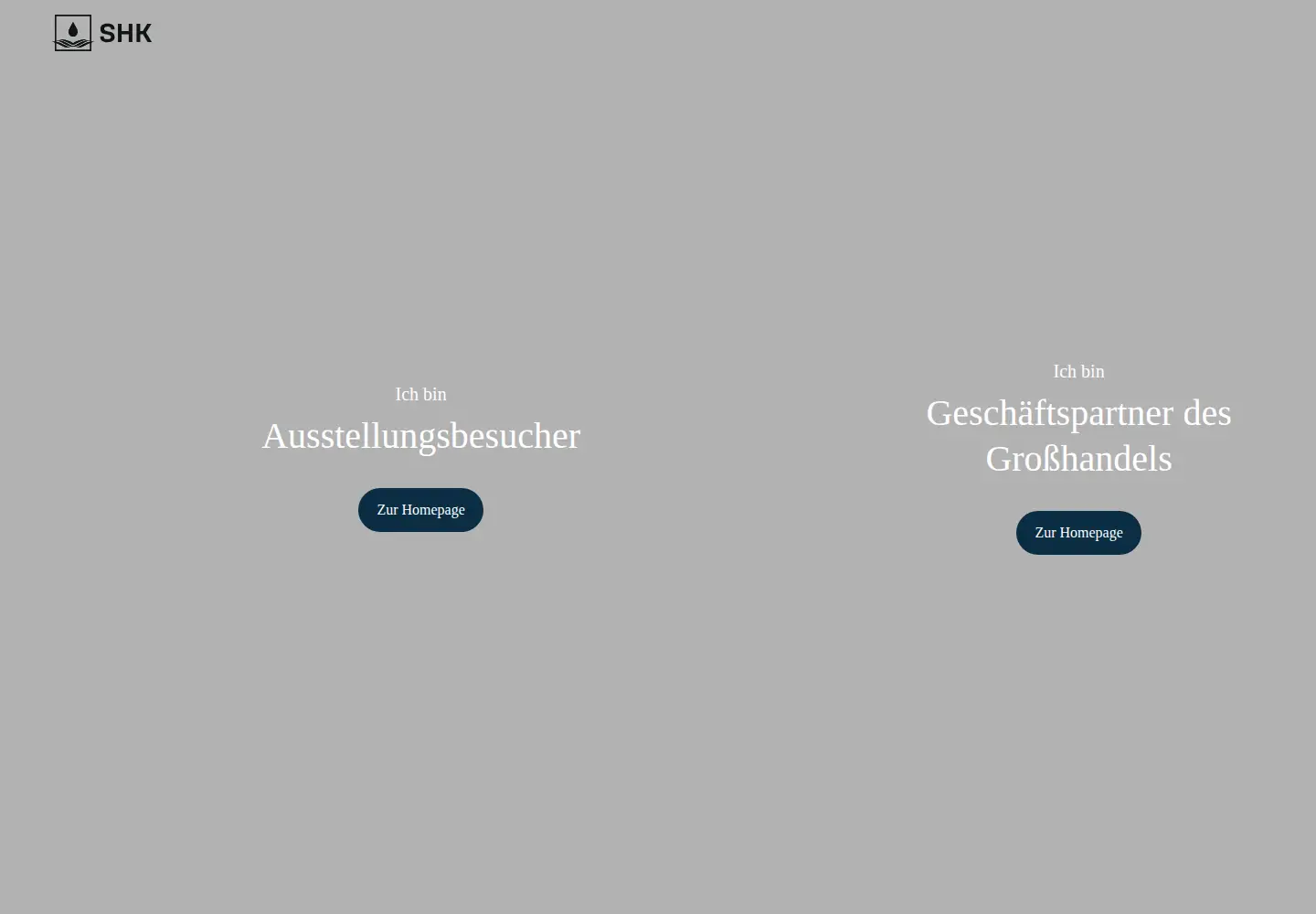 Captured homepage of shk-deutschland.de in the current scan