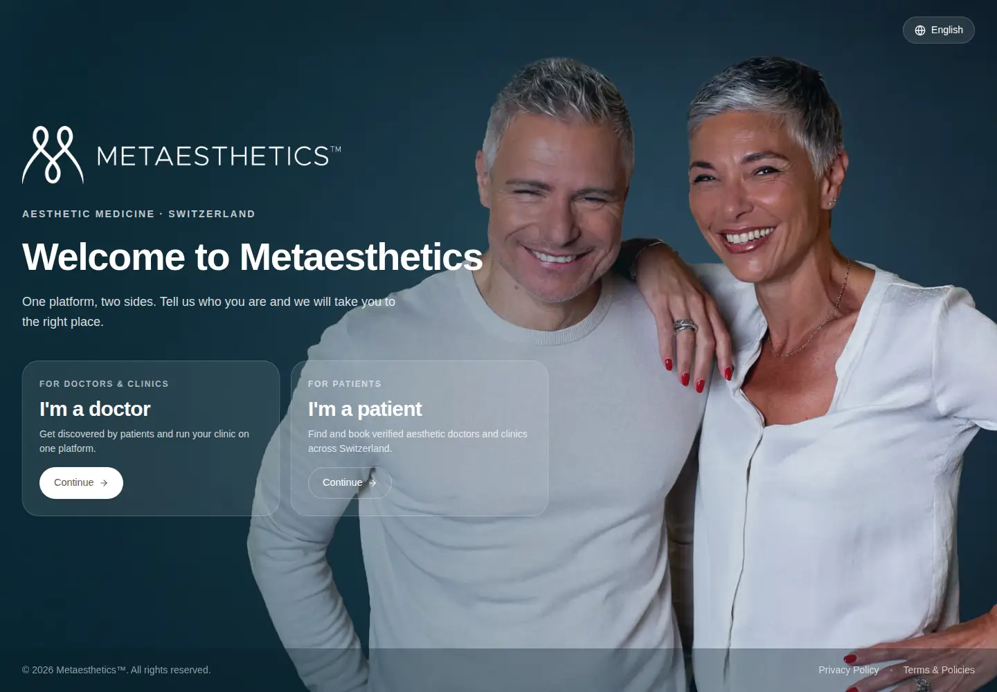 Captured homepage of metaesthetics.net in the current scan