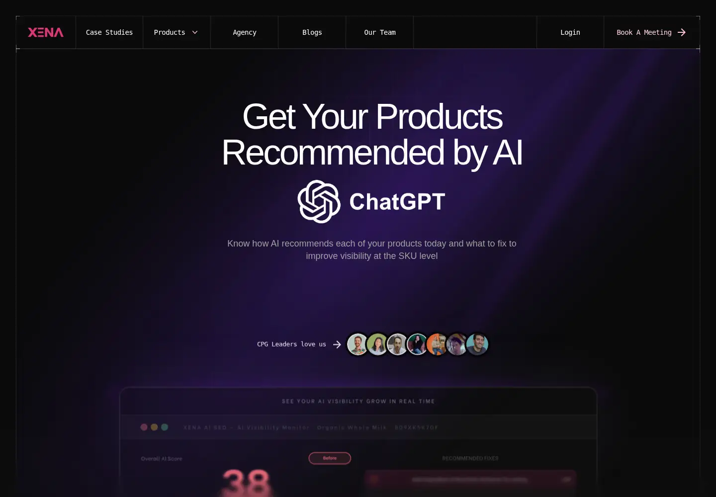Captured homepage of xenaintelligence.com in the current scan