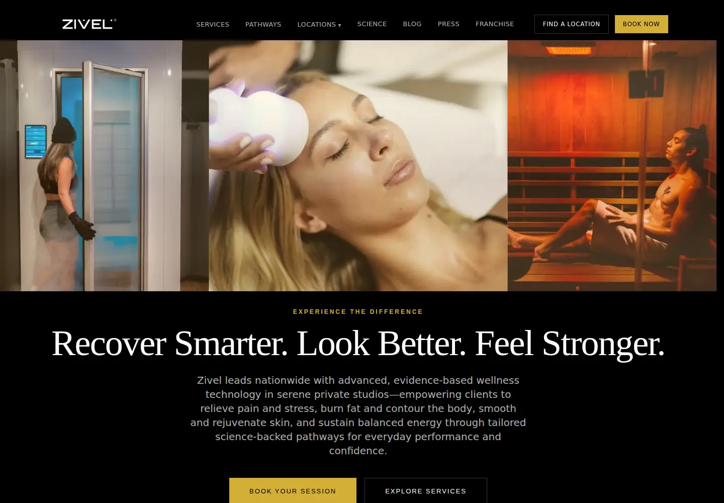 Screenshot of zivel.com