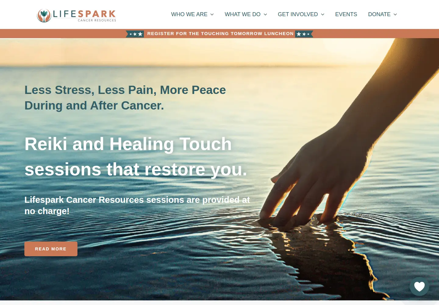 Captured homepage of lifesparknow.org in the current scan