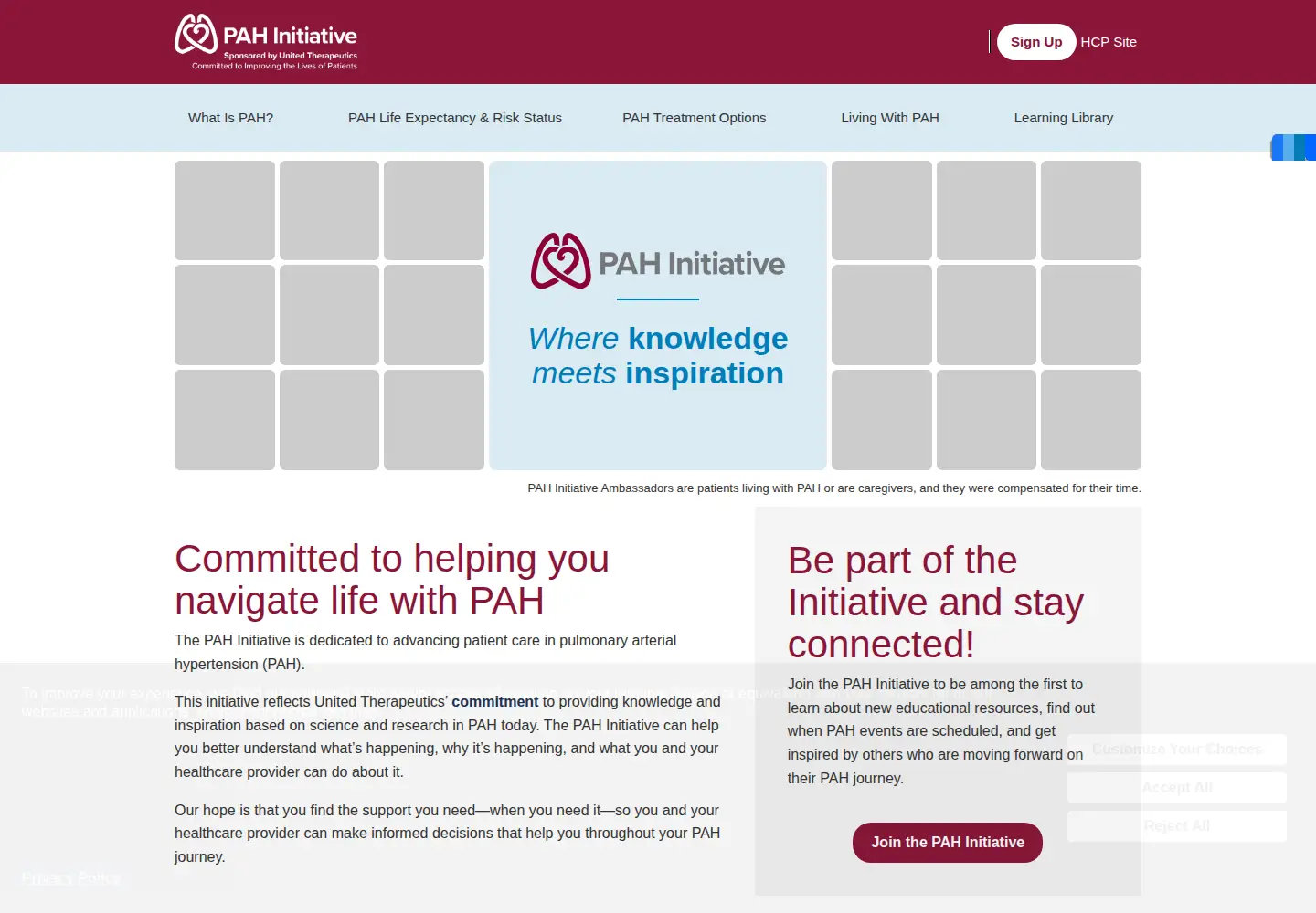 Captured homepage of pahinitiative.com in the current scan