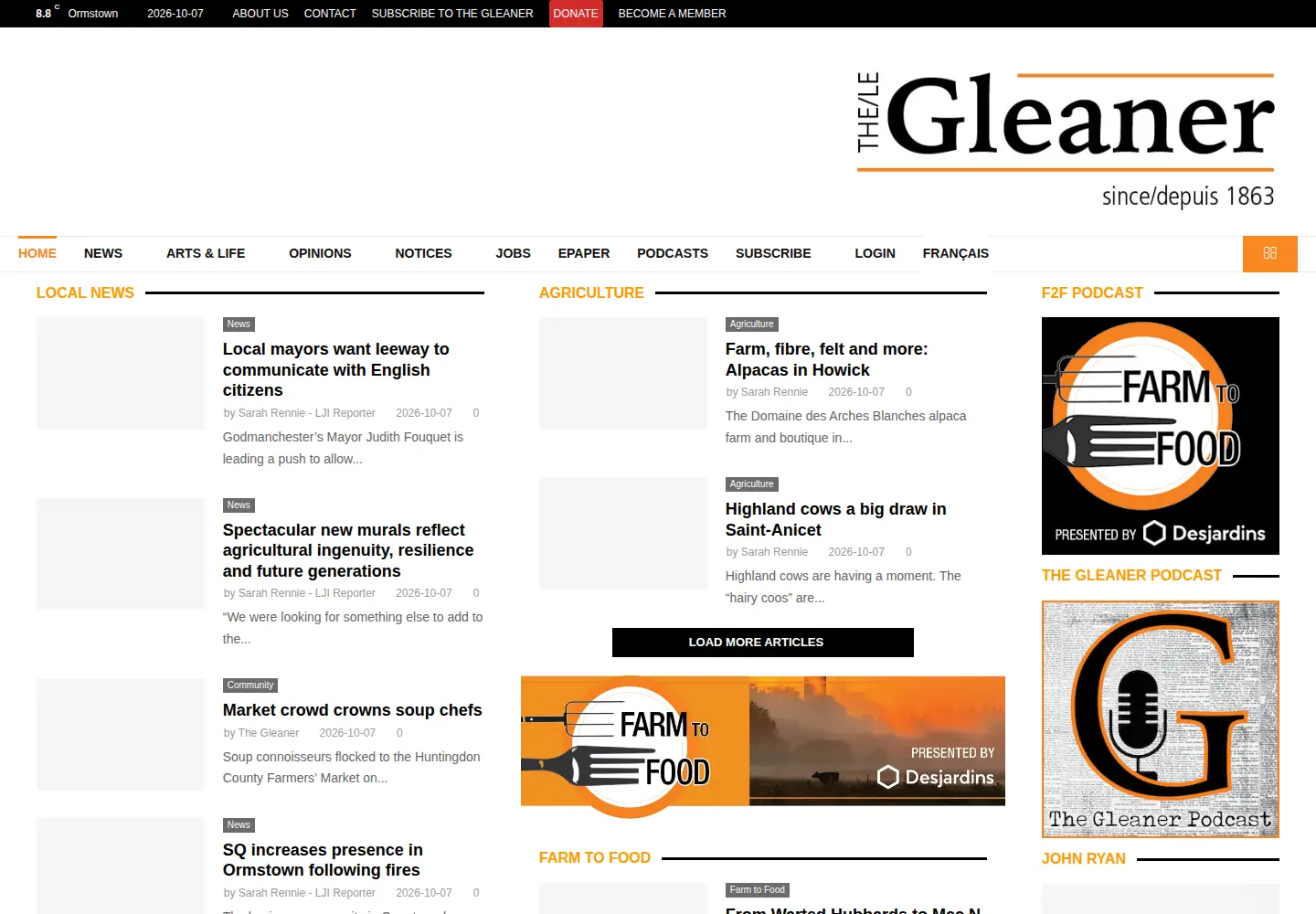 Captured homepage of the-gleaner.com in the current scan