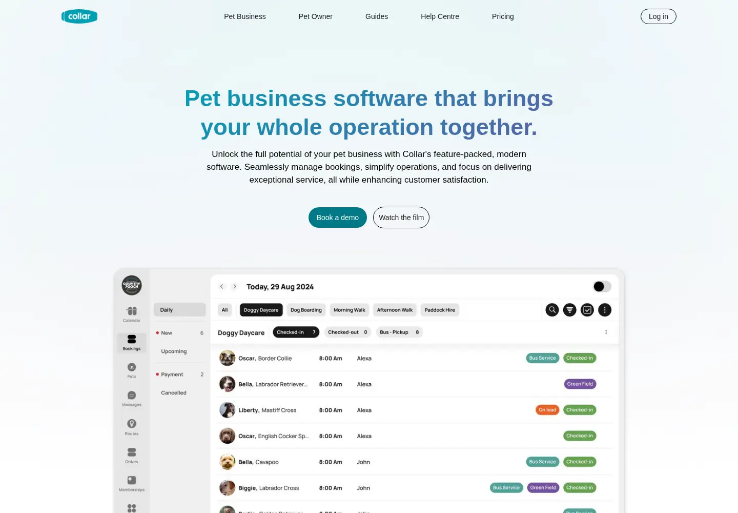Screenshot of collar.pet