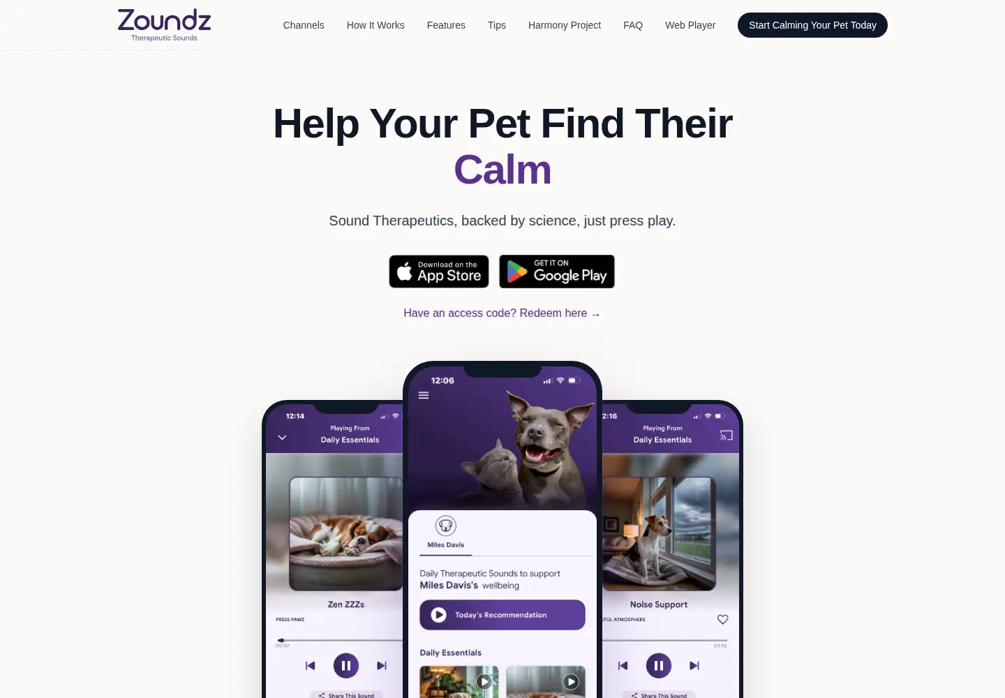 Captured homepage of zoundzforpets.com in the current scan
