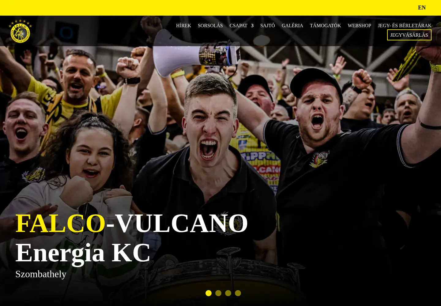 Captured homepage of falcokc.com in the current scan