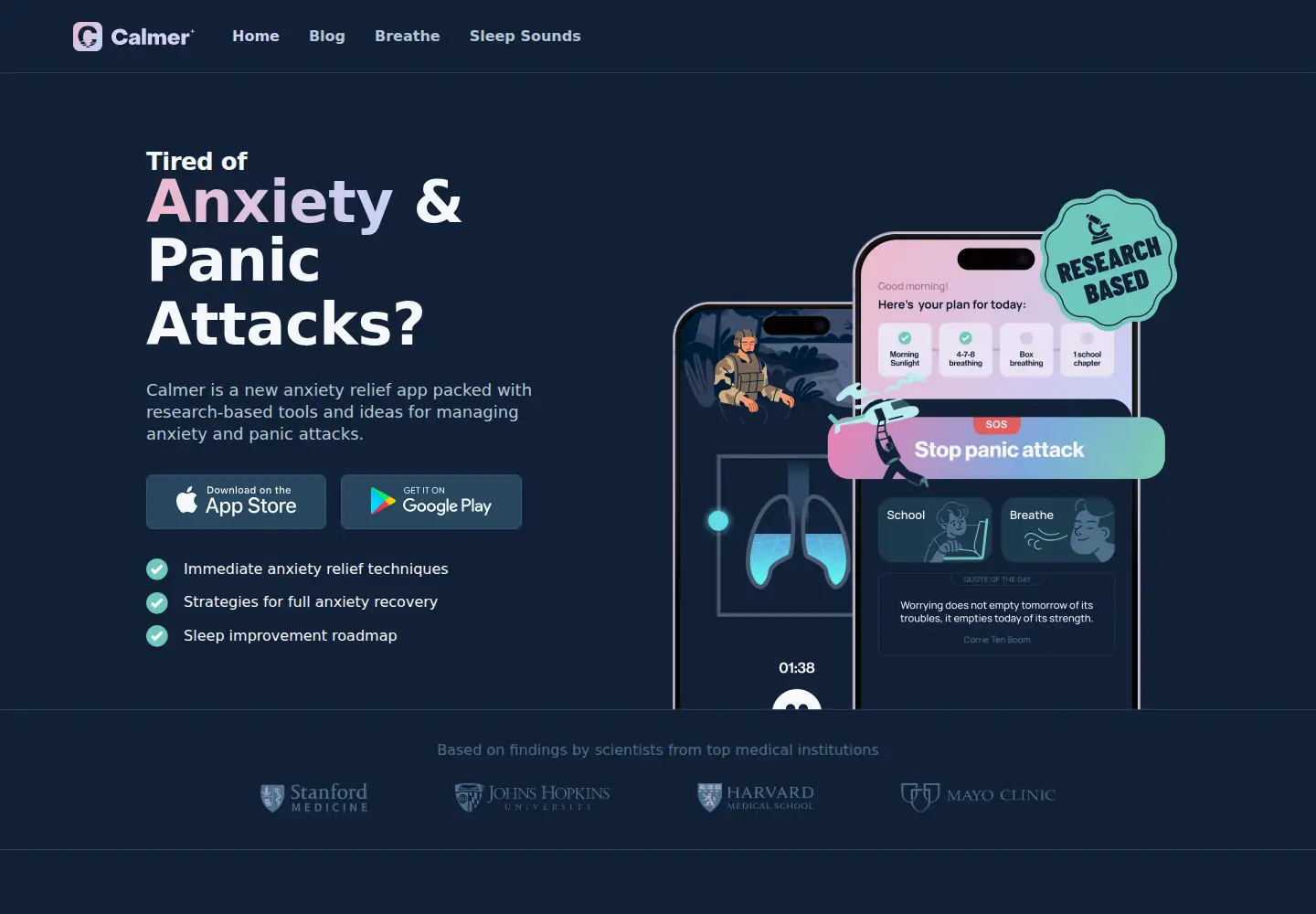 Captured homepage of gocalmer.com in the current scan