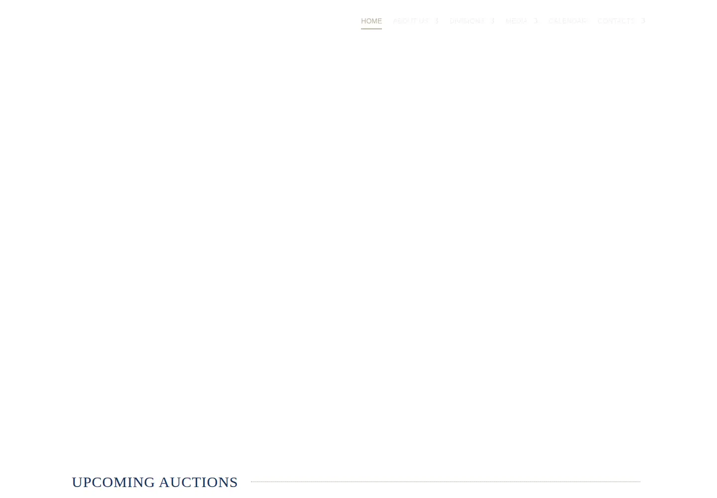 Captured homepage of highstreetauctions.com in the current scan
