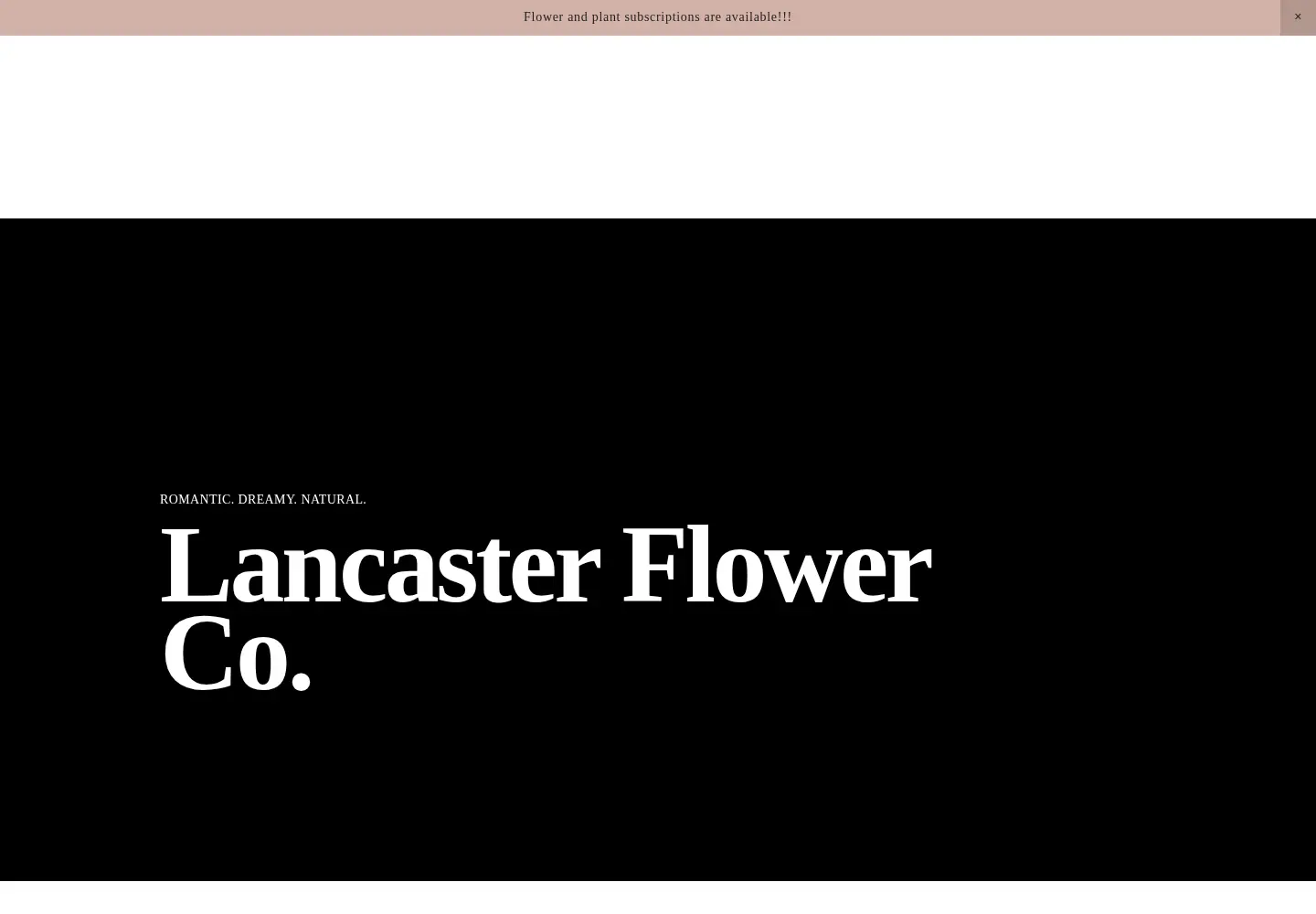 Captured homepage of lancasterflowerco.com in the current scan