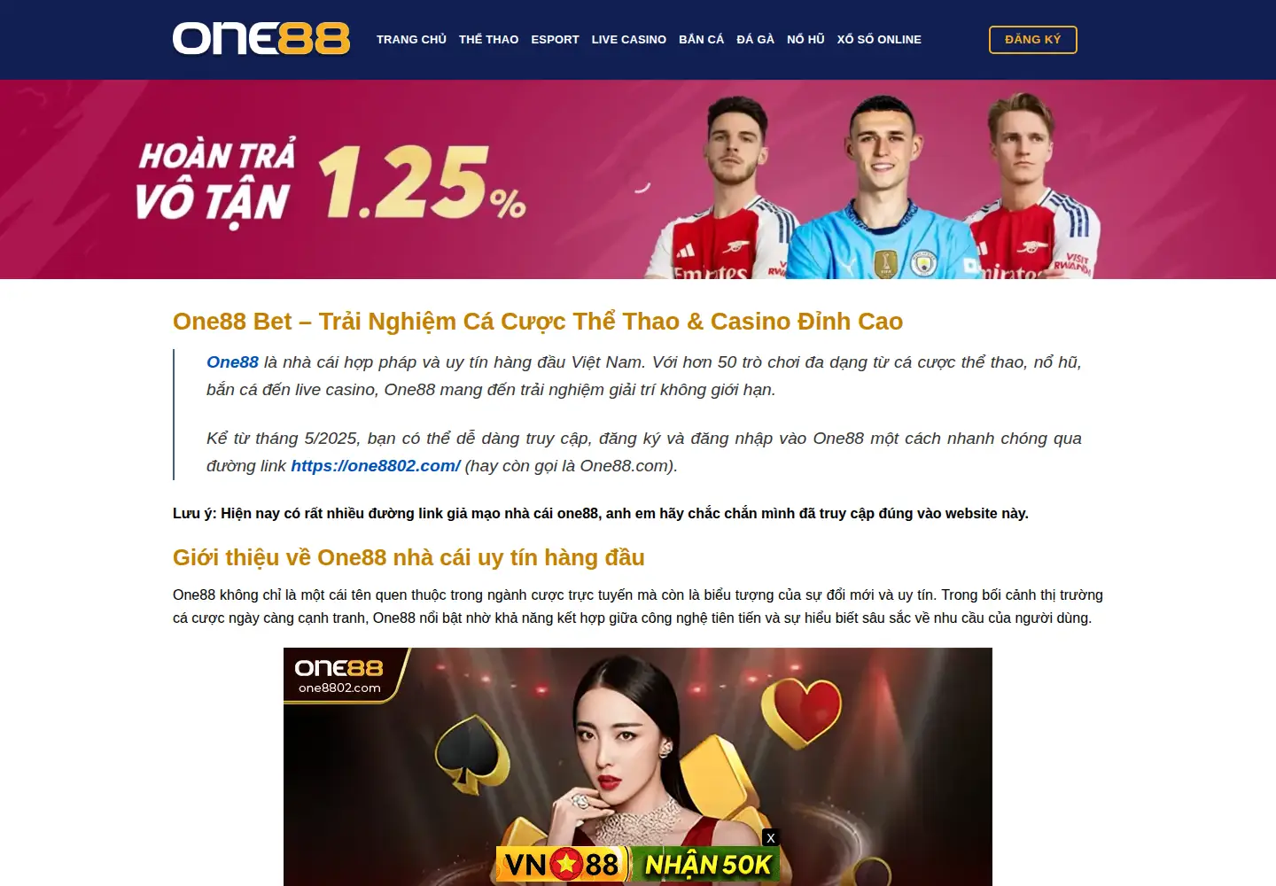 Captured homepage of one8802.com in the current scan