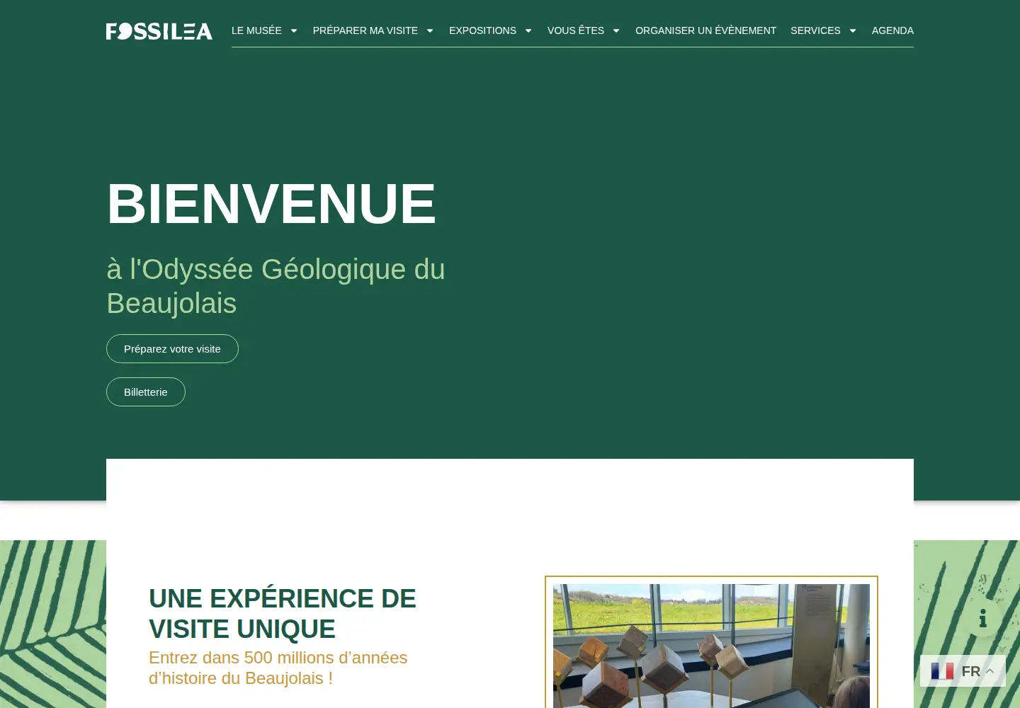Screenshot of fossilea.fr