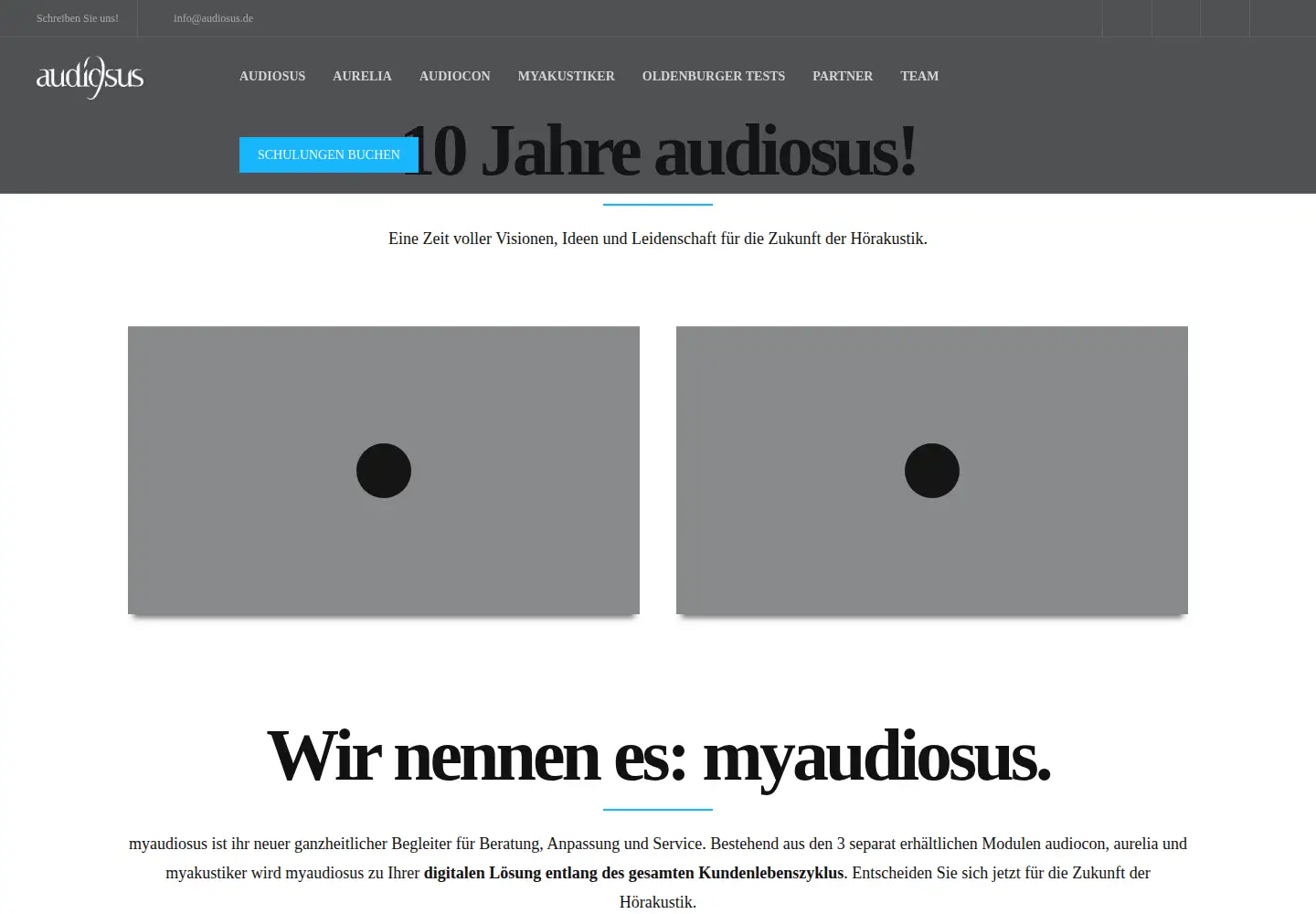 Captured homepage of audiosus.info in the current scan