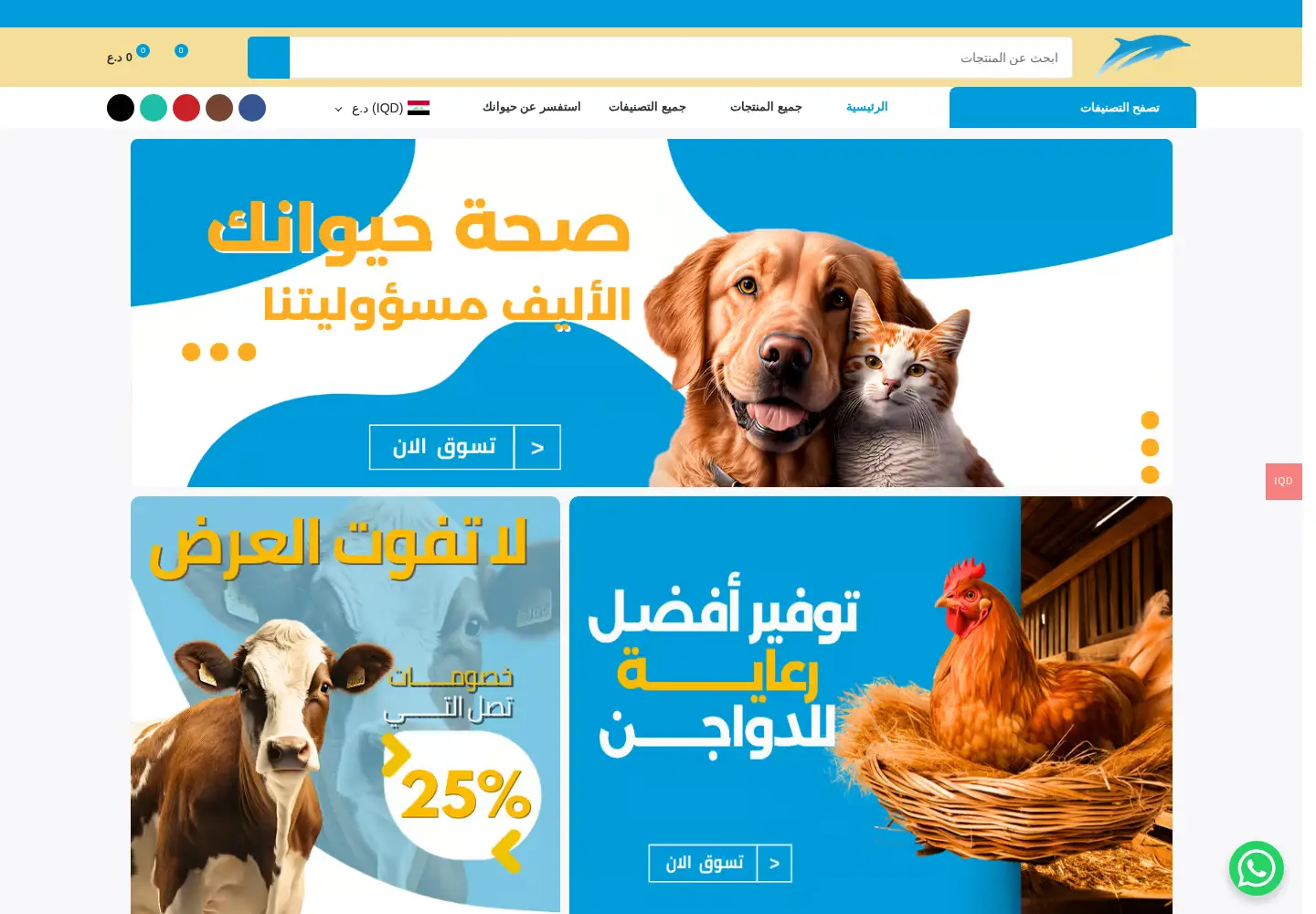 Captured homepage of dolphin.com.iq in the current scan